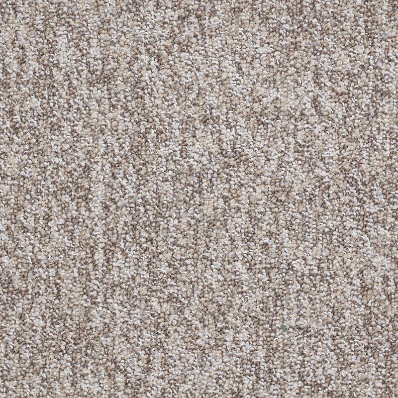 Sound Advice Berber Loop Carpet in color Get Involved, 12ft wide, 100% nylon material
