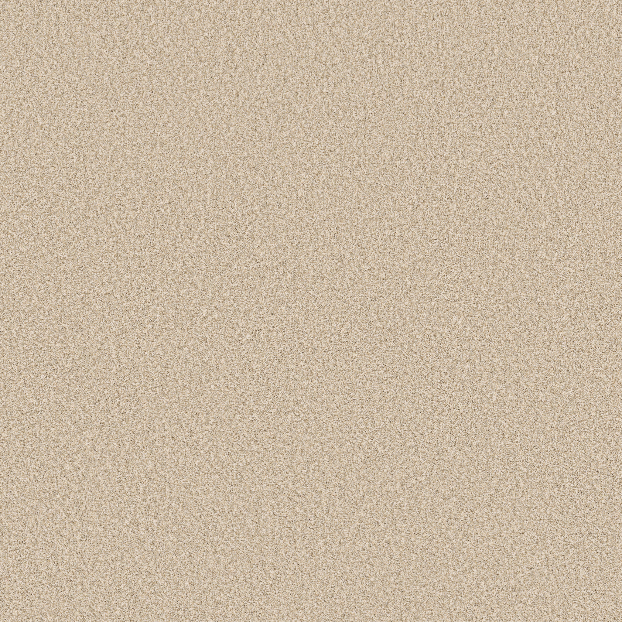 AVALON BAY RISOTTO MAIN