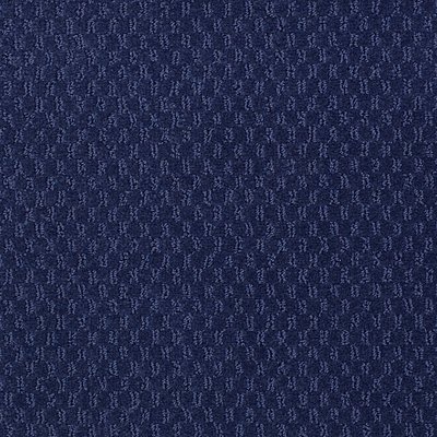 LATEST-TREND-54098-BLUE-CLOVER-98402-main-image