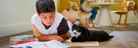 A boy reading a book on the floor with a cat