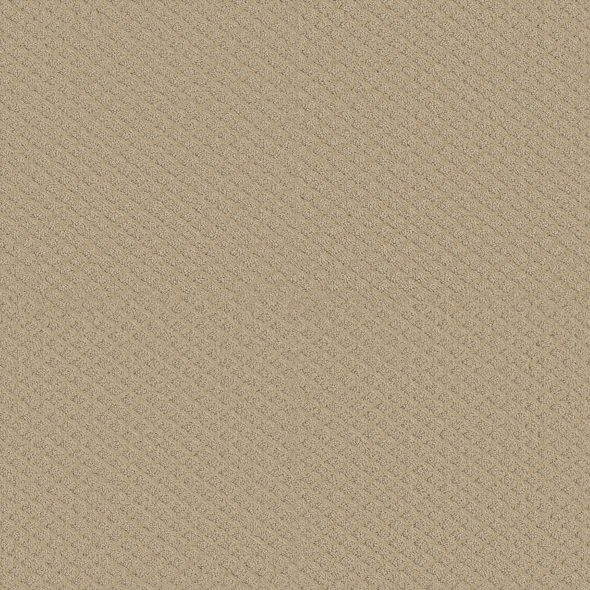 MODERN CHARM DUNES MAIN