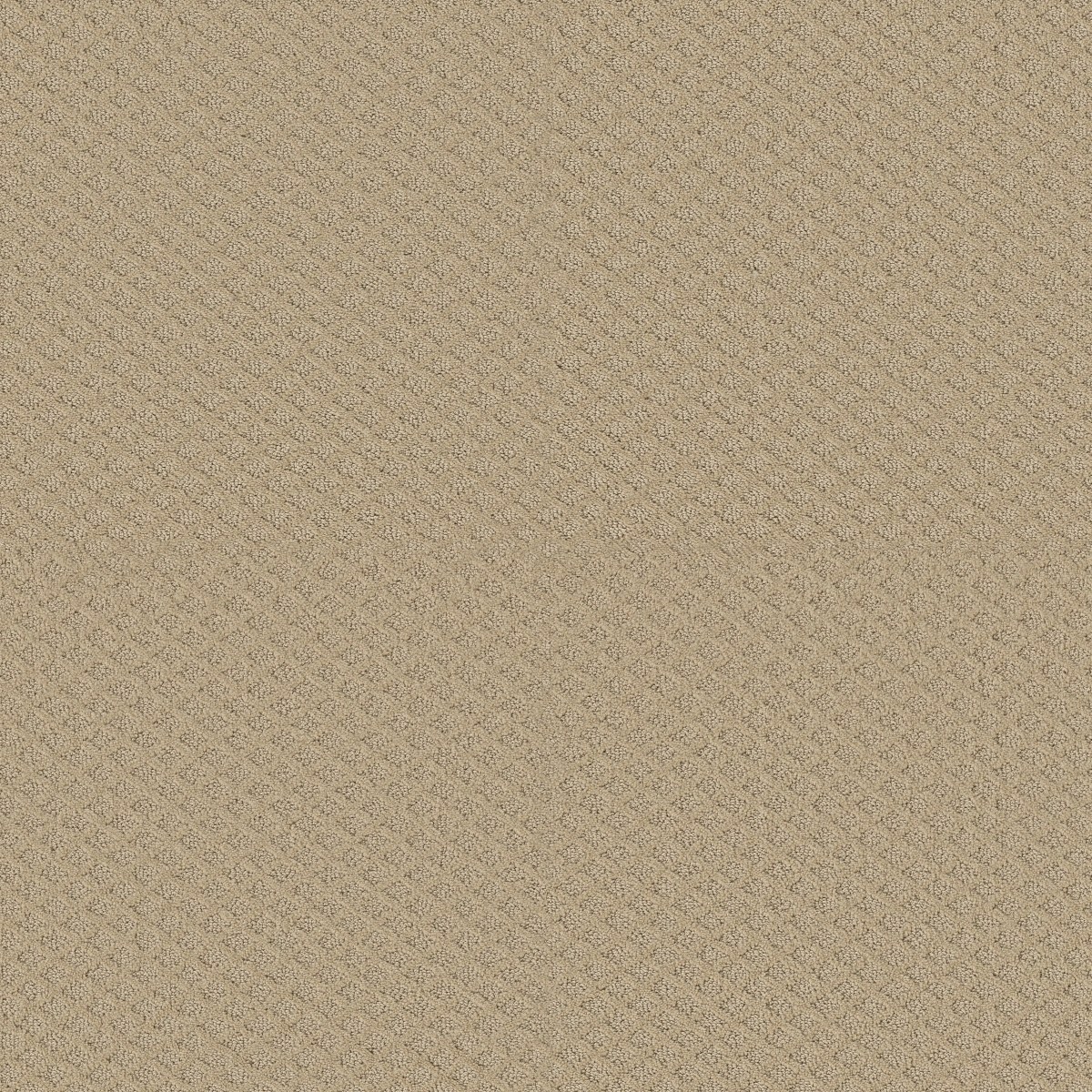 Shaw Floors PADOVA — DUNES