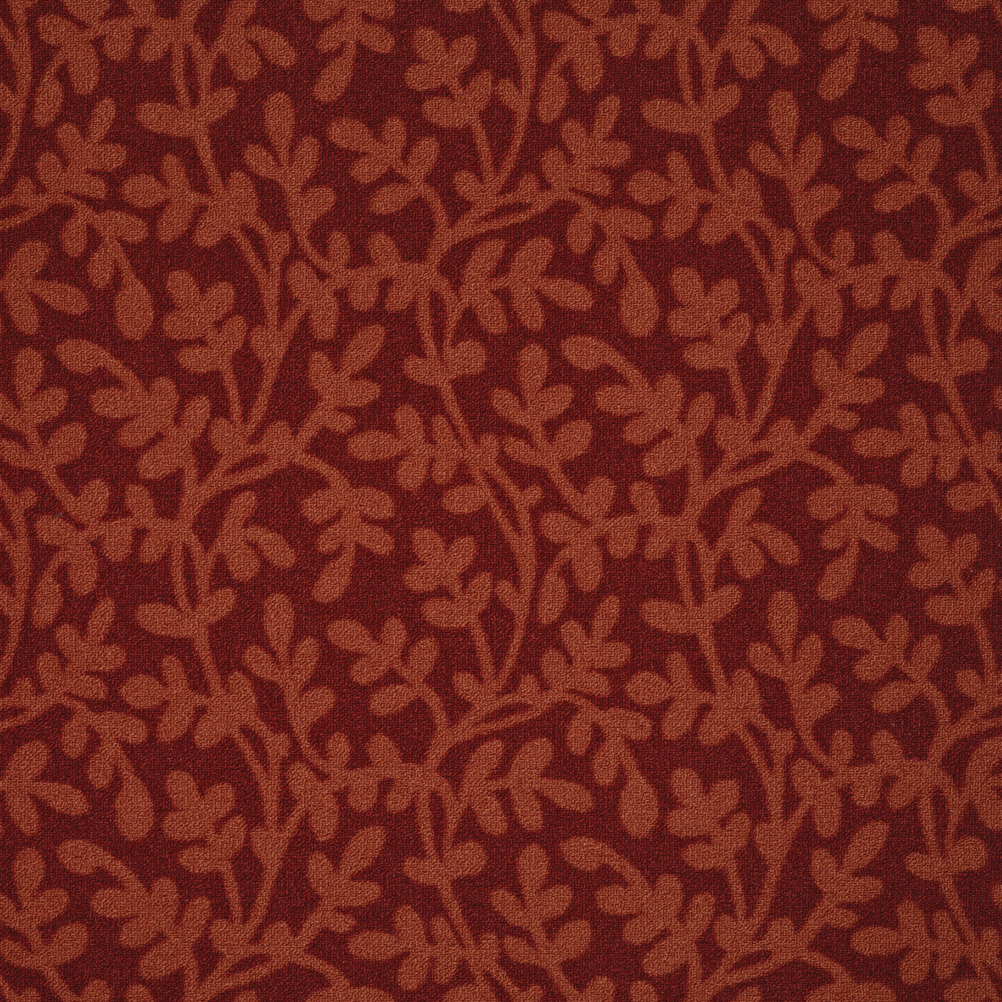 LOWLAND-54532-KIKORI-BASIN-32800-main-image