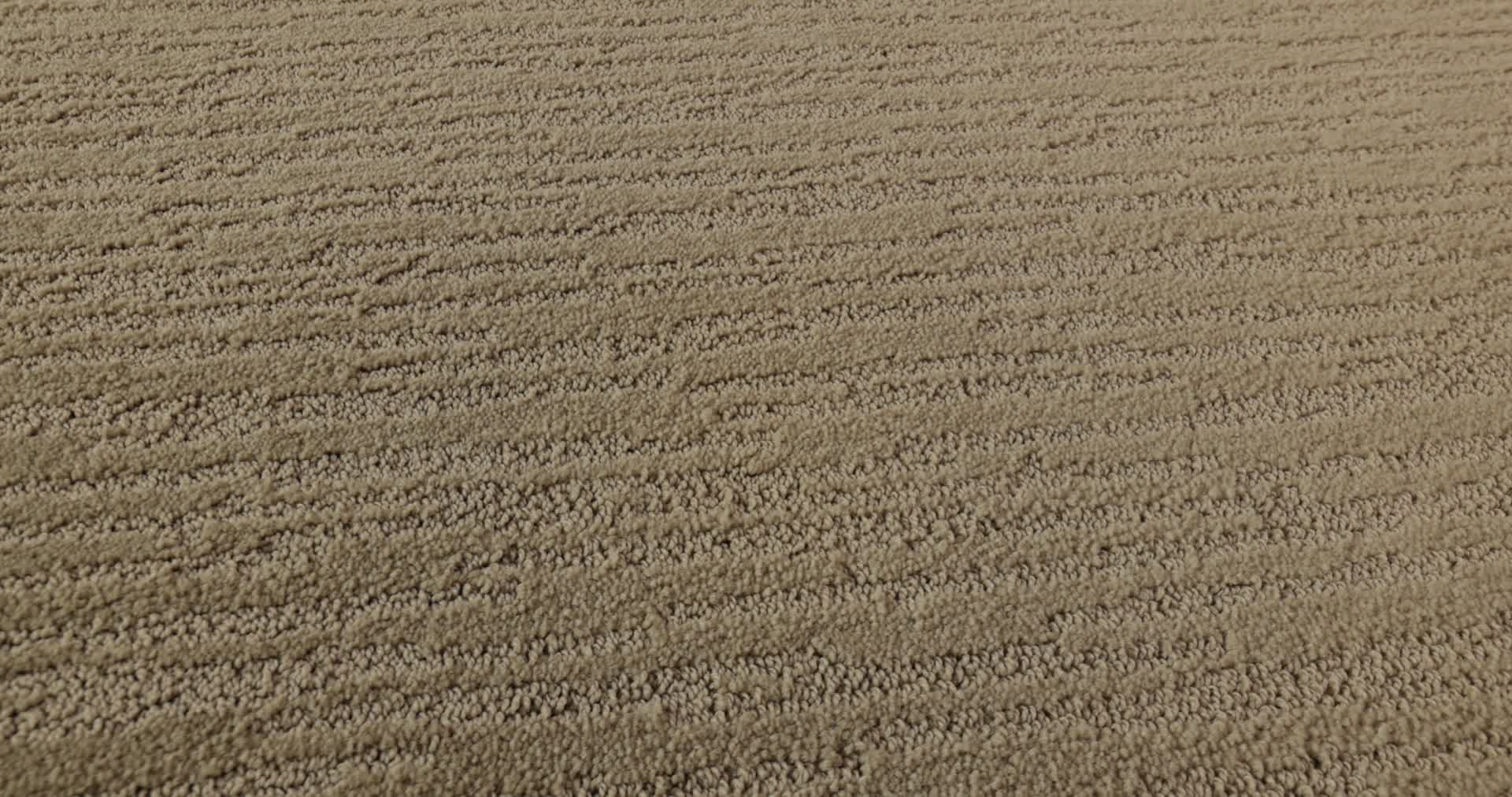 CHAMBERS BAY MUSHROOM 360PROD