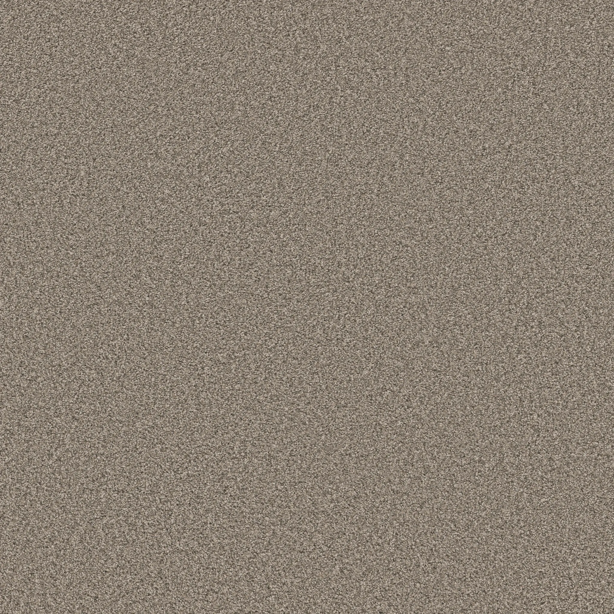 experience-the-luxurious-comfort-of-stroke-of-luck-carpet-floor-elevate-your-space-with-tonal-elegance-and-softbac-technology