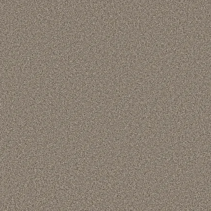 Experience the Luxurious Comfort of Stroke Of Luck Carpet Flooring: Elevate Your Space with Tonal Elegance and Softbac Technology experience-the-luxurious-comfort-of-stroke-of-luck-carpet-floor-elevate-your-space-with-tonal-elegance-and-softbac-technology