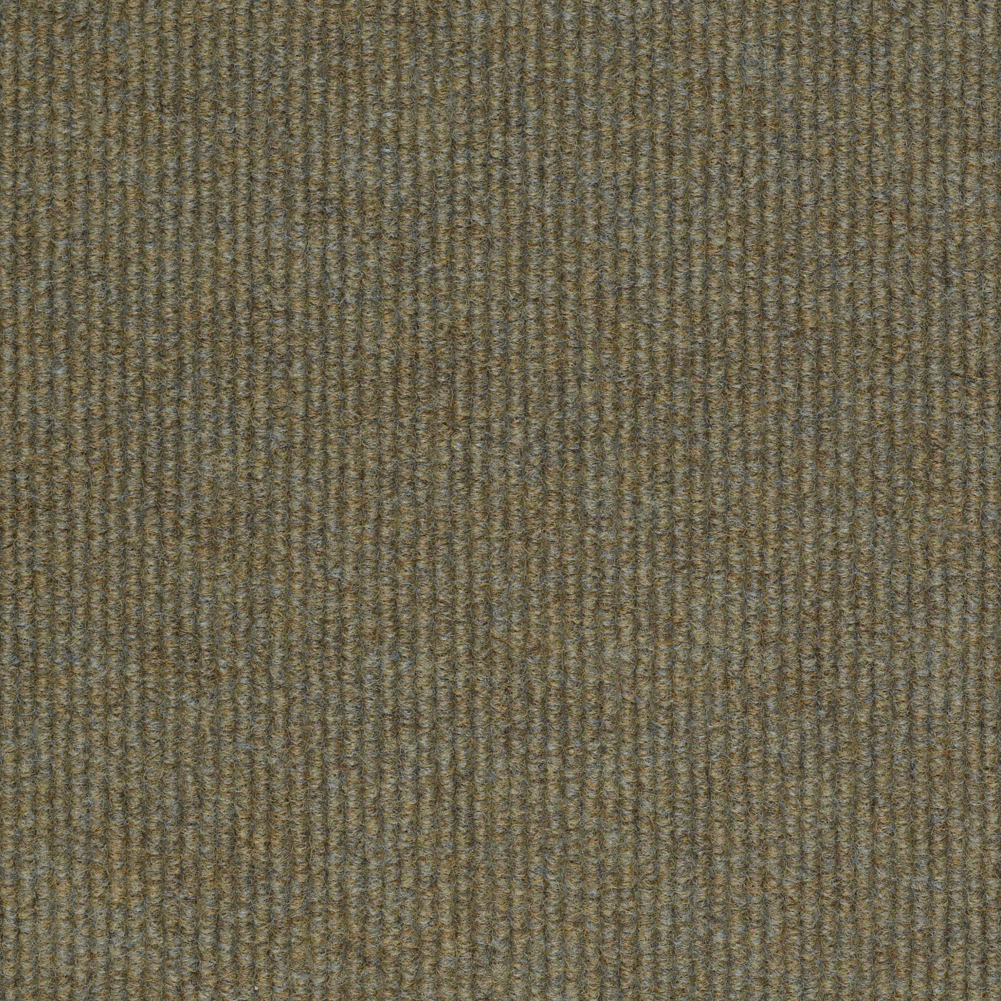 SUMMER-STOCK-54691-DRAGONFLY-00701-main-image