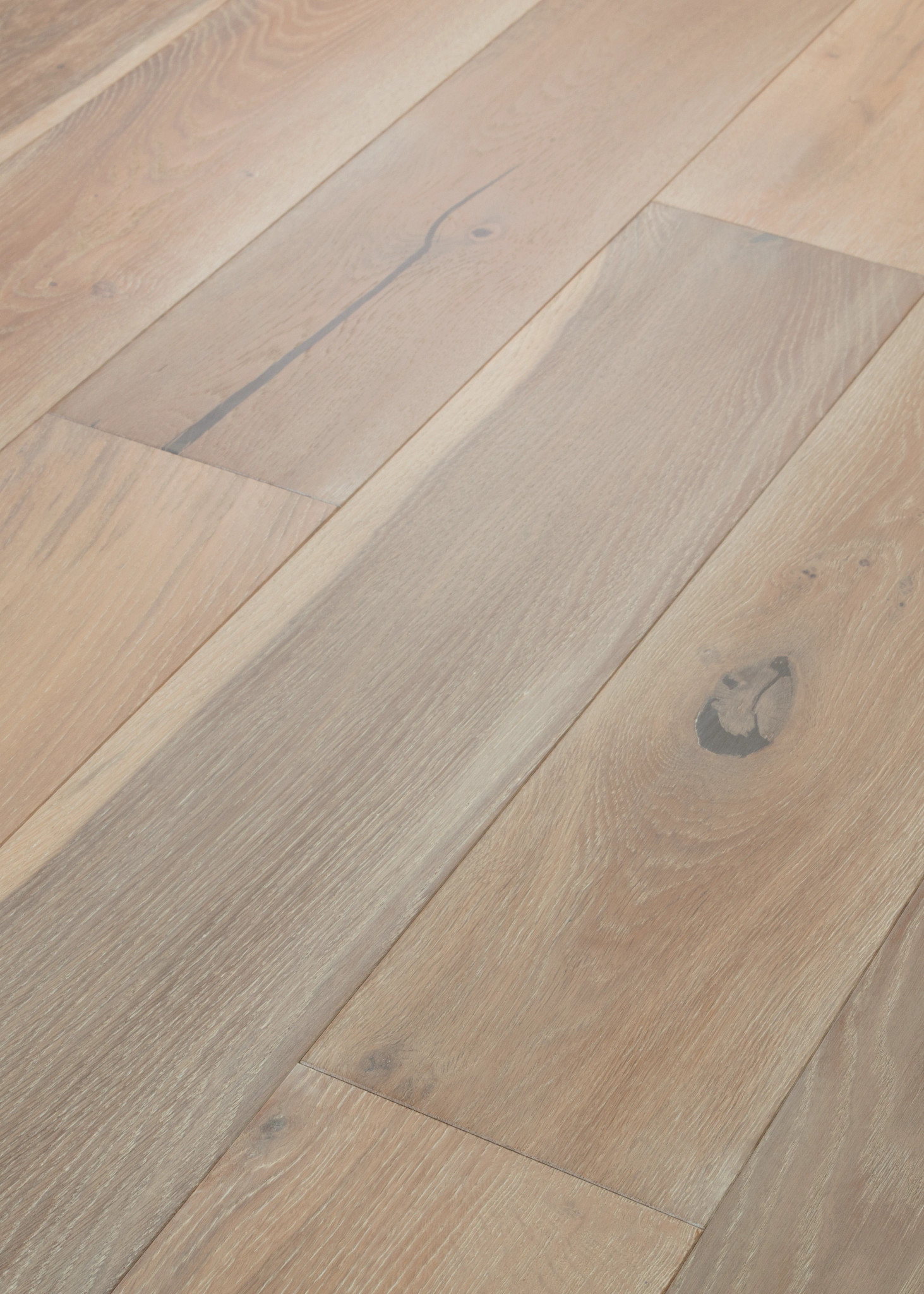 COAST TO COAST TIDEPOOL ANGLED