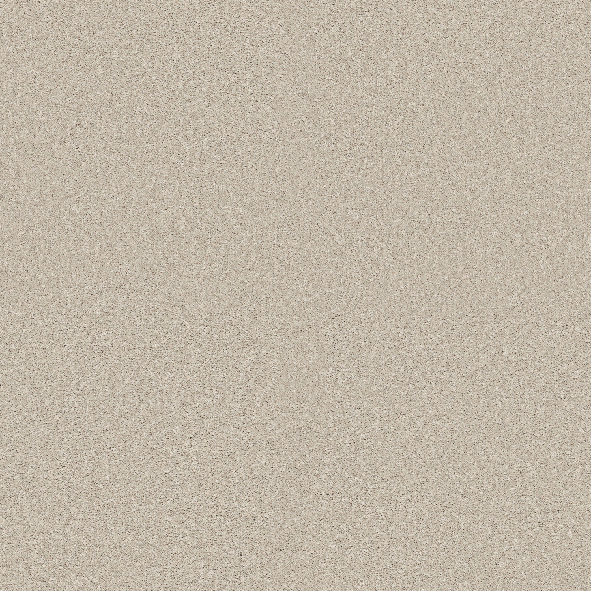 BEAUTIFULLY SIMPLE II 15' FRESCO MAIN