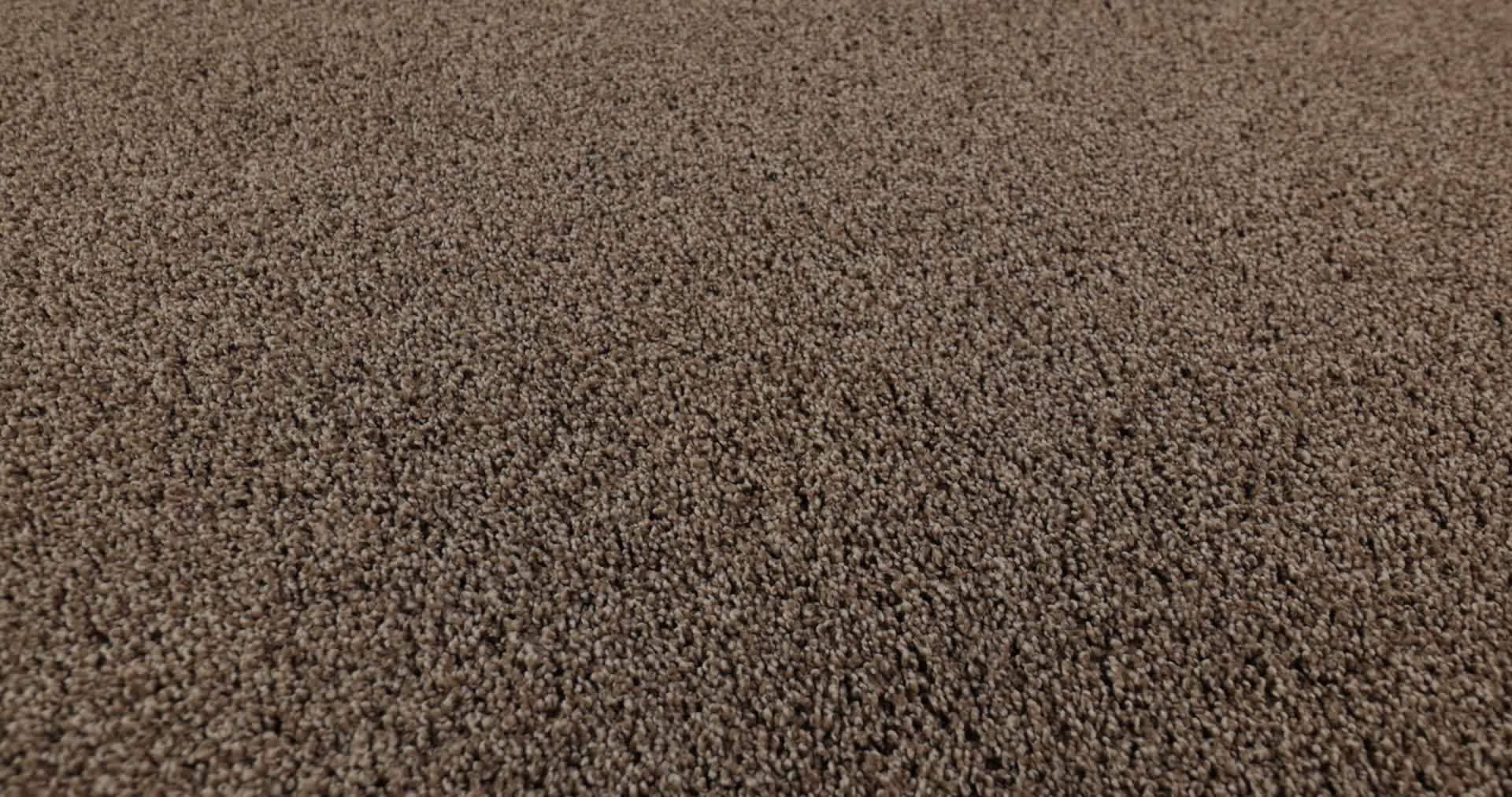 ACADIA PARK CANYON TRAIL 360PROD