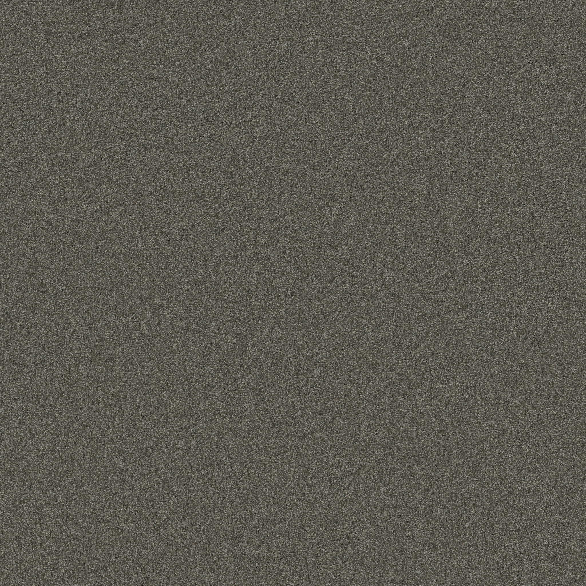 US シャウィー　棘色グラデーション Gold Texture Accents - Graphite Carpet | Shaw Floors