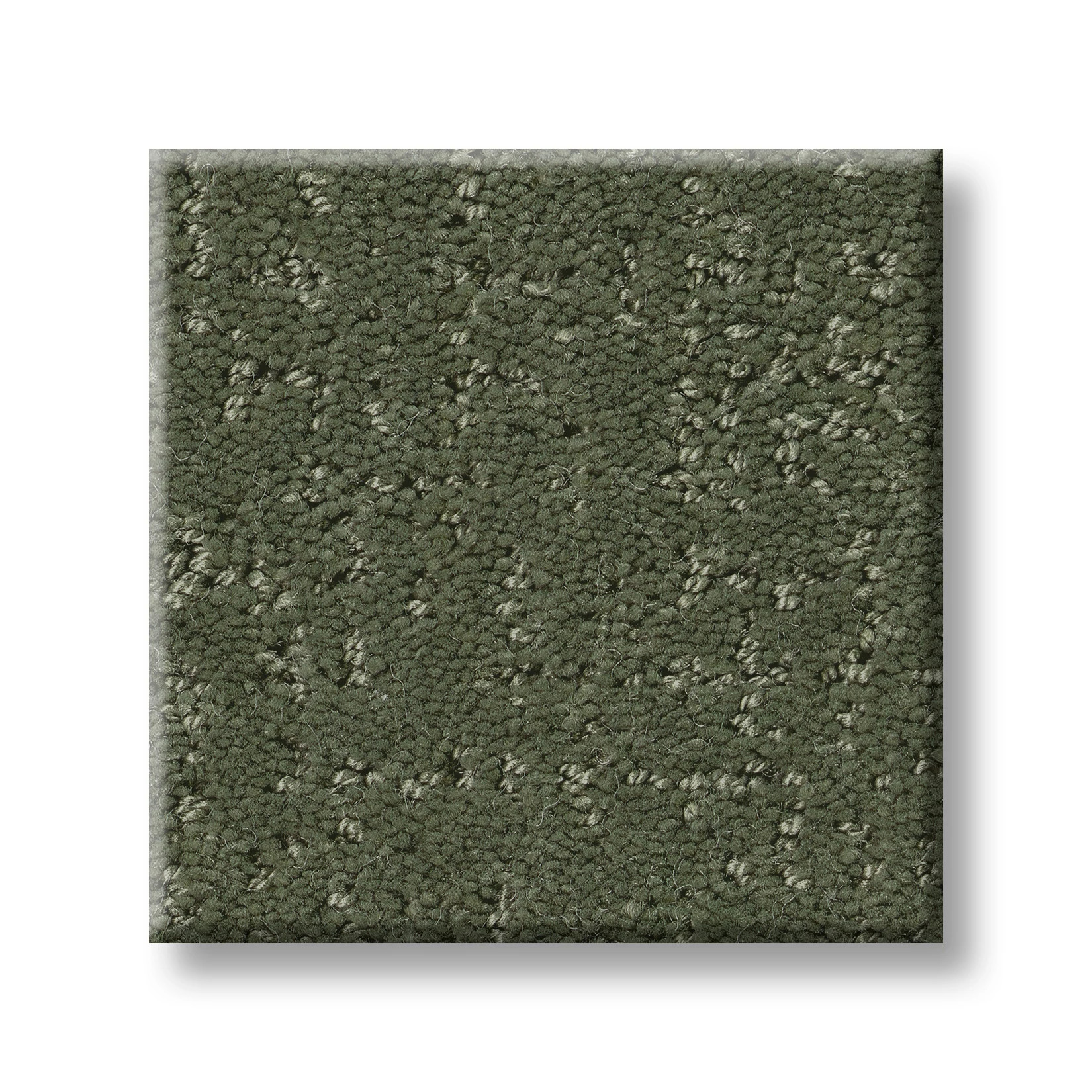 CANVAS COMFORT OLIVE GROVE SWATCH
