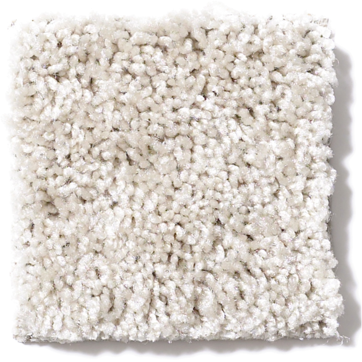 DYNAMIC WORLD 12 (S) ANGEL WING SWATCH