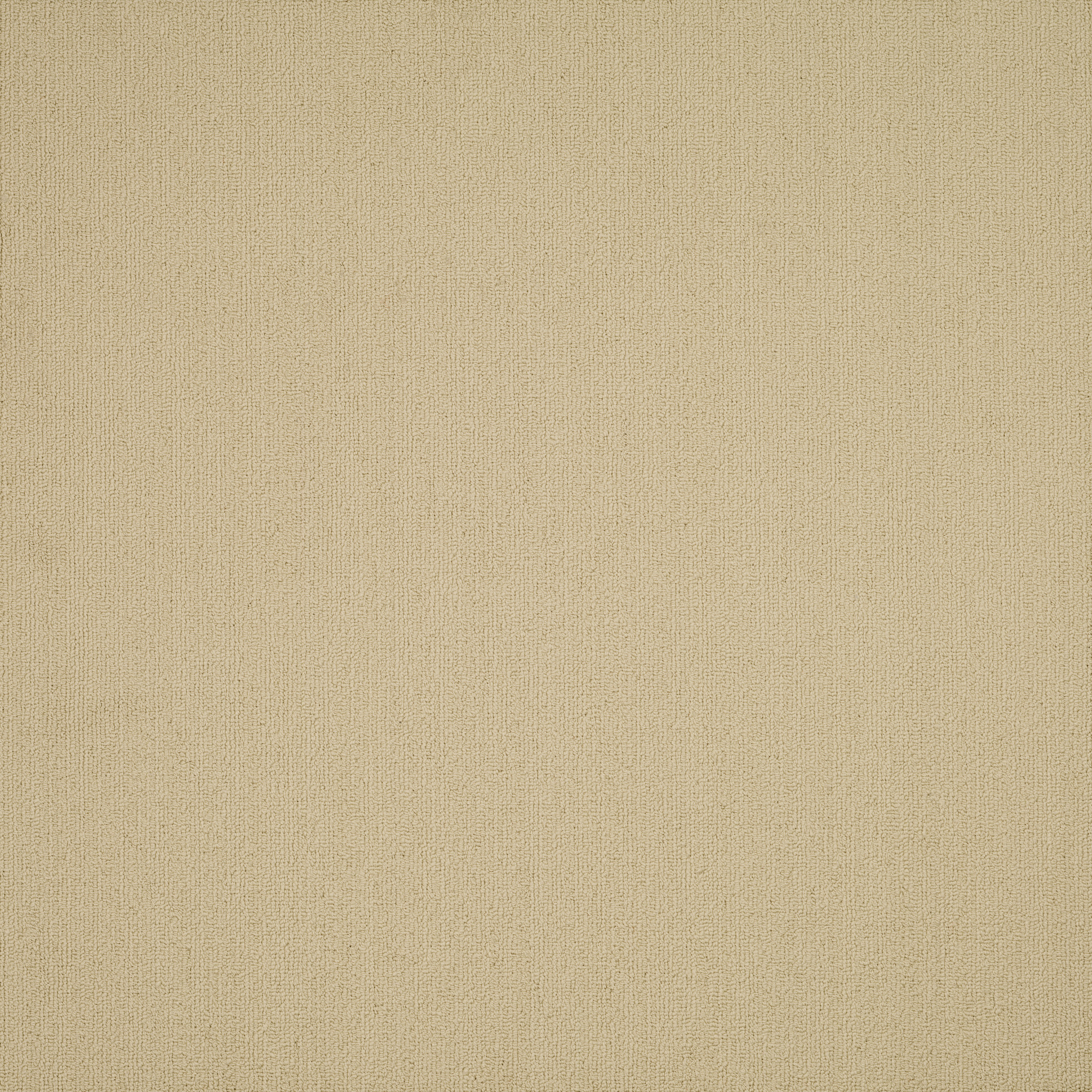 COLOR-ACCENTS-54462-TUMBLEWEED-62145-main-image