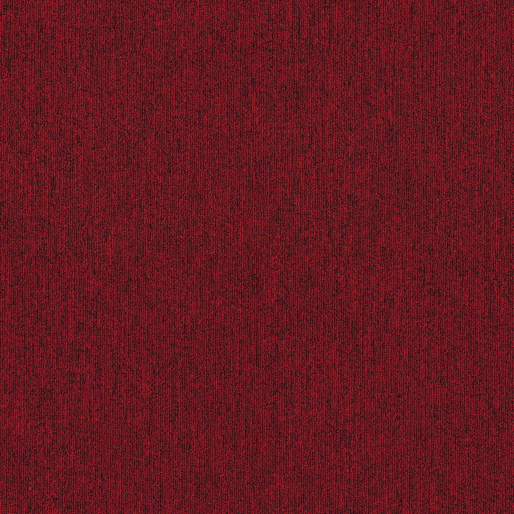 PROFUSION-TILE-54931-THRIVE-00830-main-image