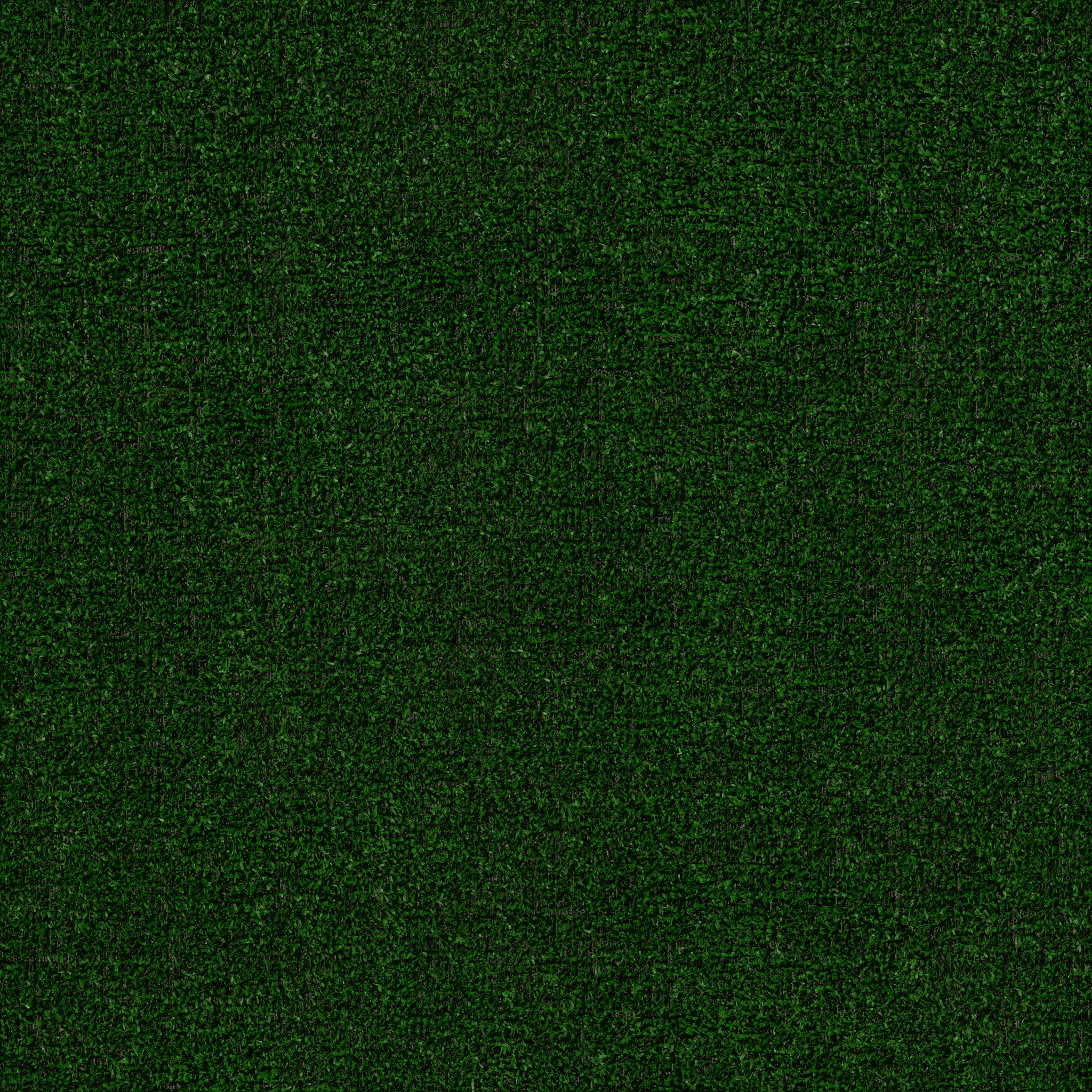 TACTIC-I-54623-HOLLY-LEAF-00310-main-image