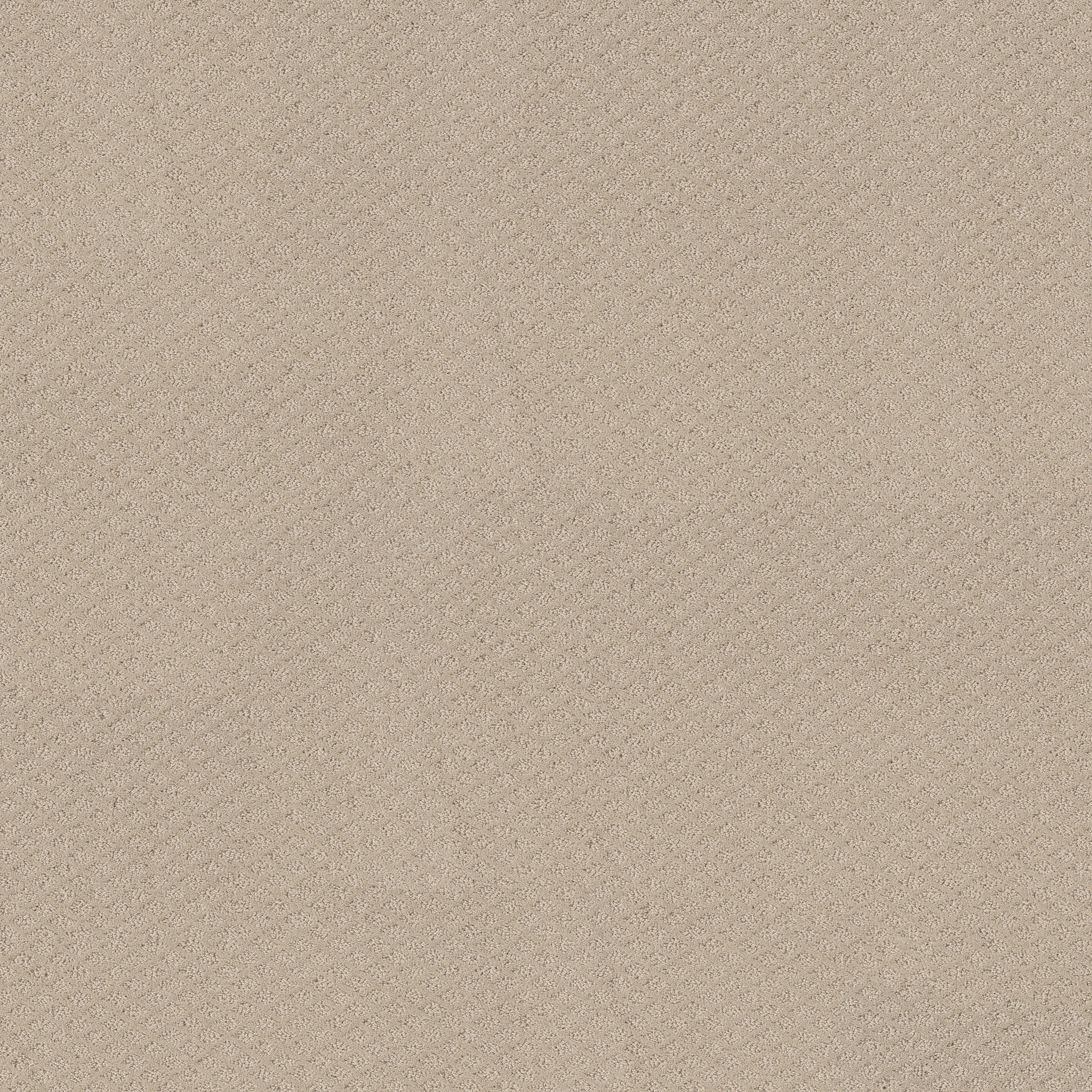 FORMALIZE BUTTER CREAM MAIN