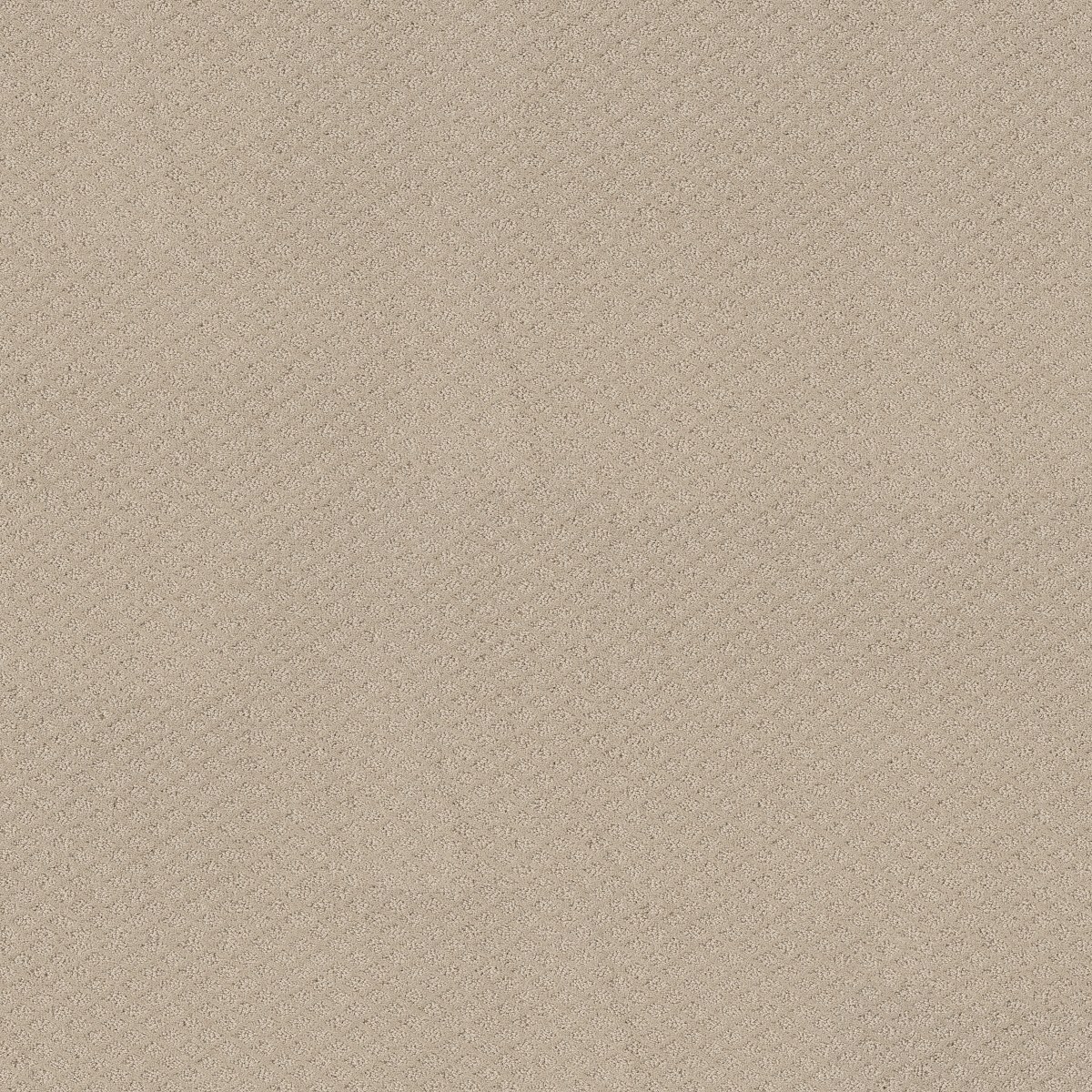Shaw Floors FORMALIZE — BUTTER CREAM
