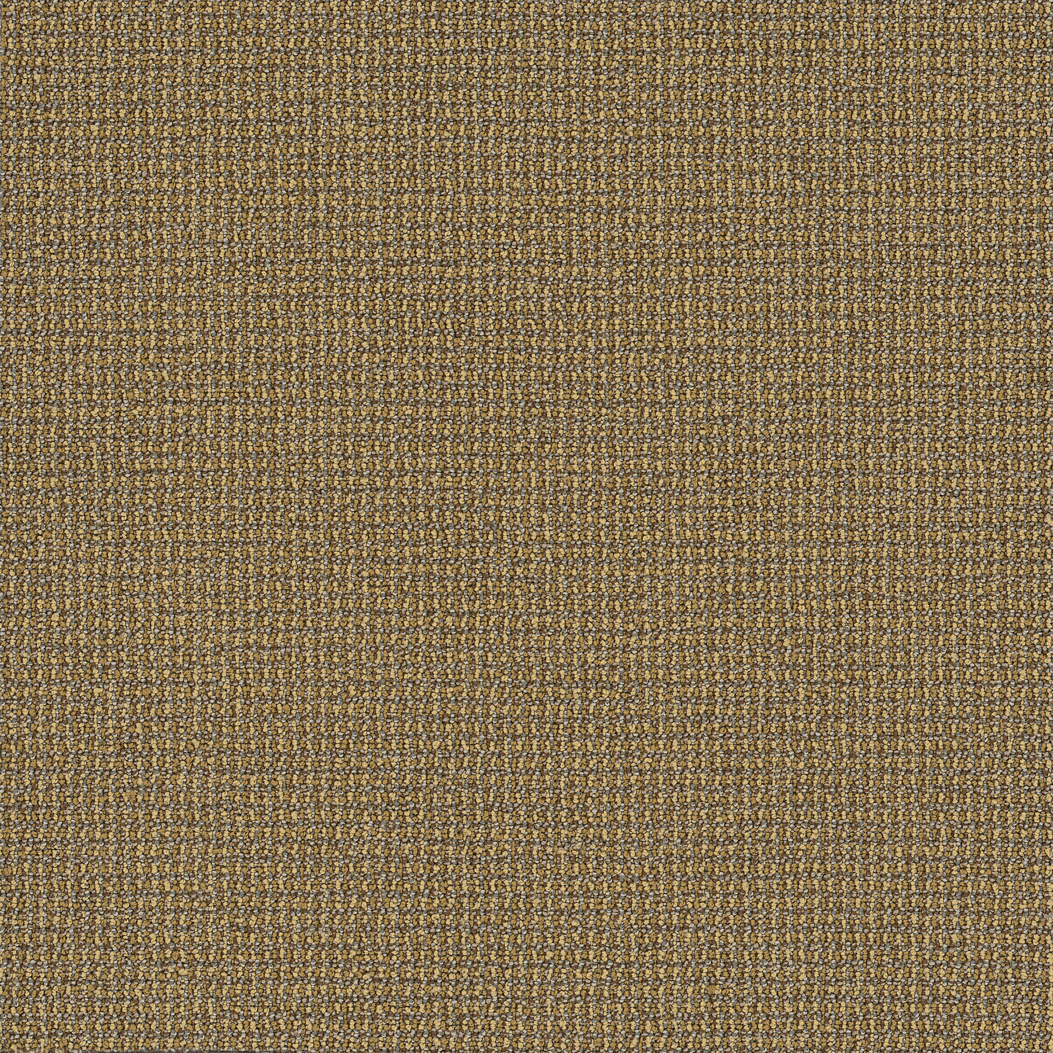 DATELINE-TODAY-54823-EPISODE-00240-main-image