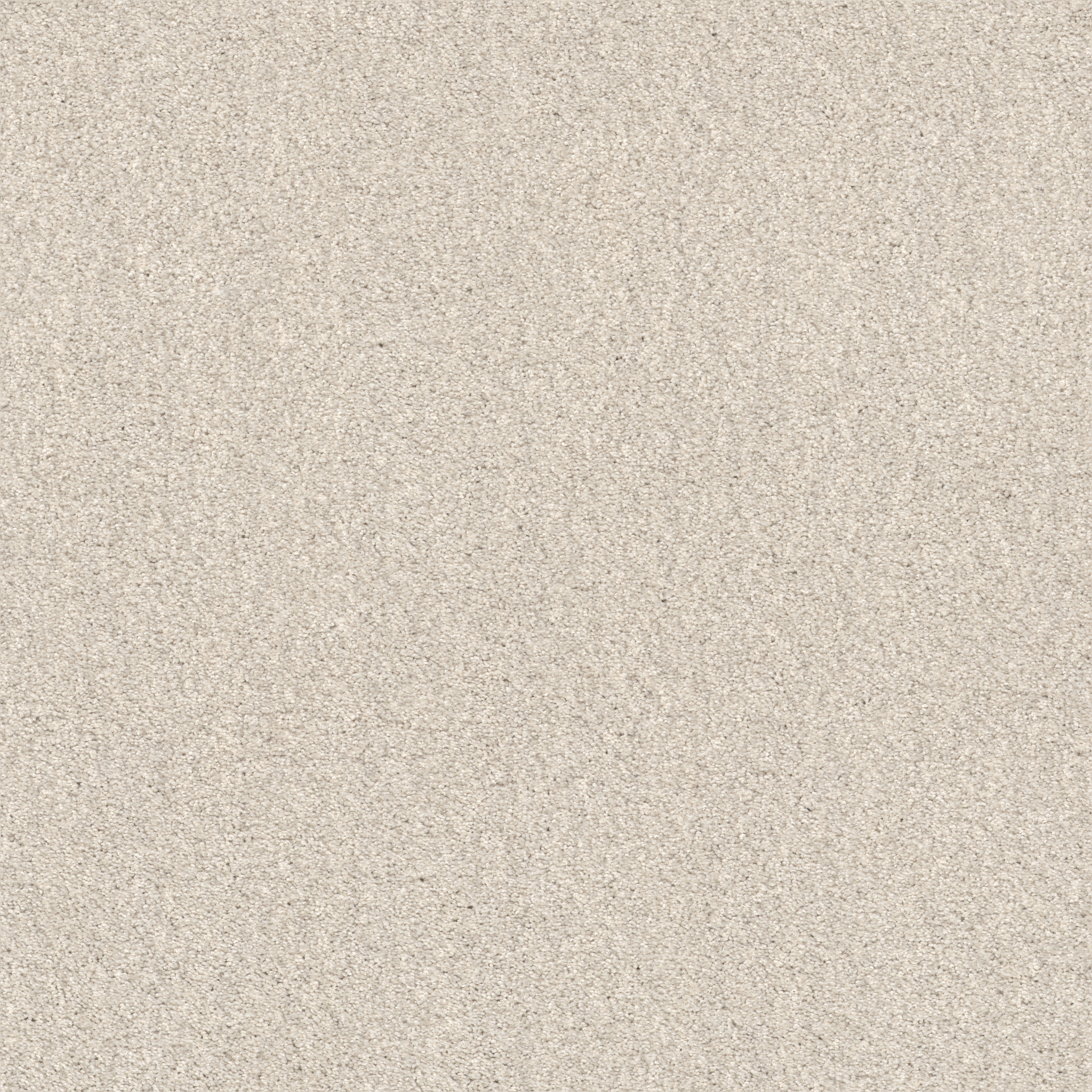 COZY HARBOR I DELICATE CREAM MAIN