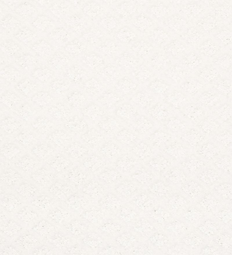 Entwined with You E9808 Broadloom Carpet in Park Avenue color, 100% Nylon material, 12ft width