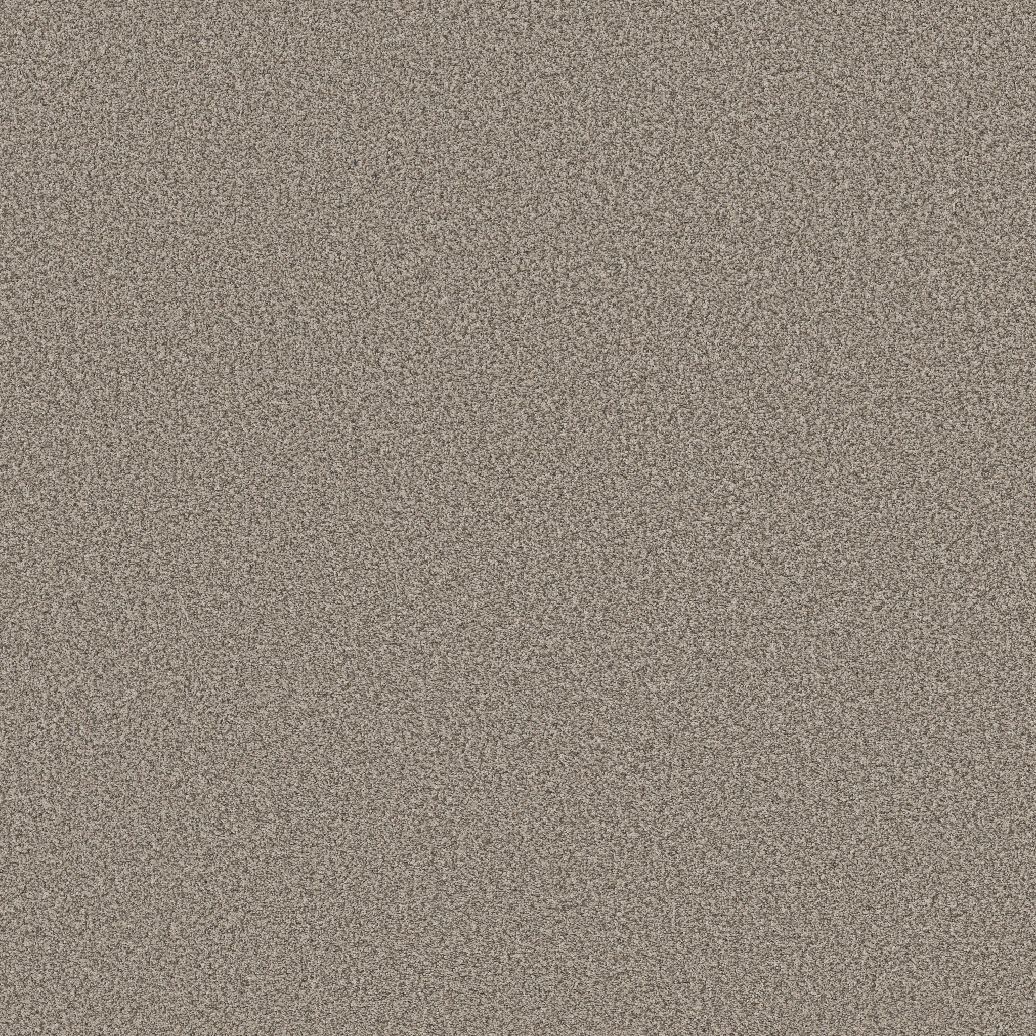 AVALON BAY PASHMINA MAIN