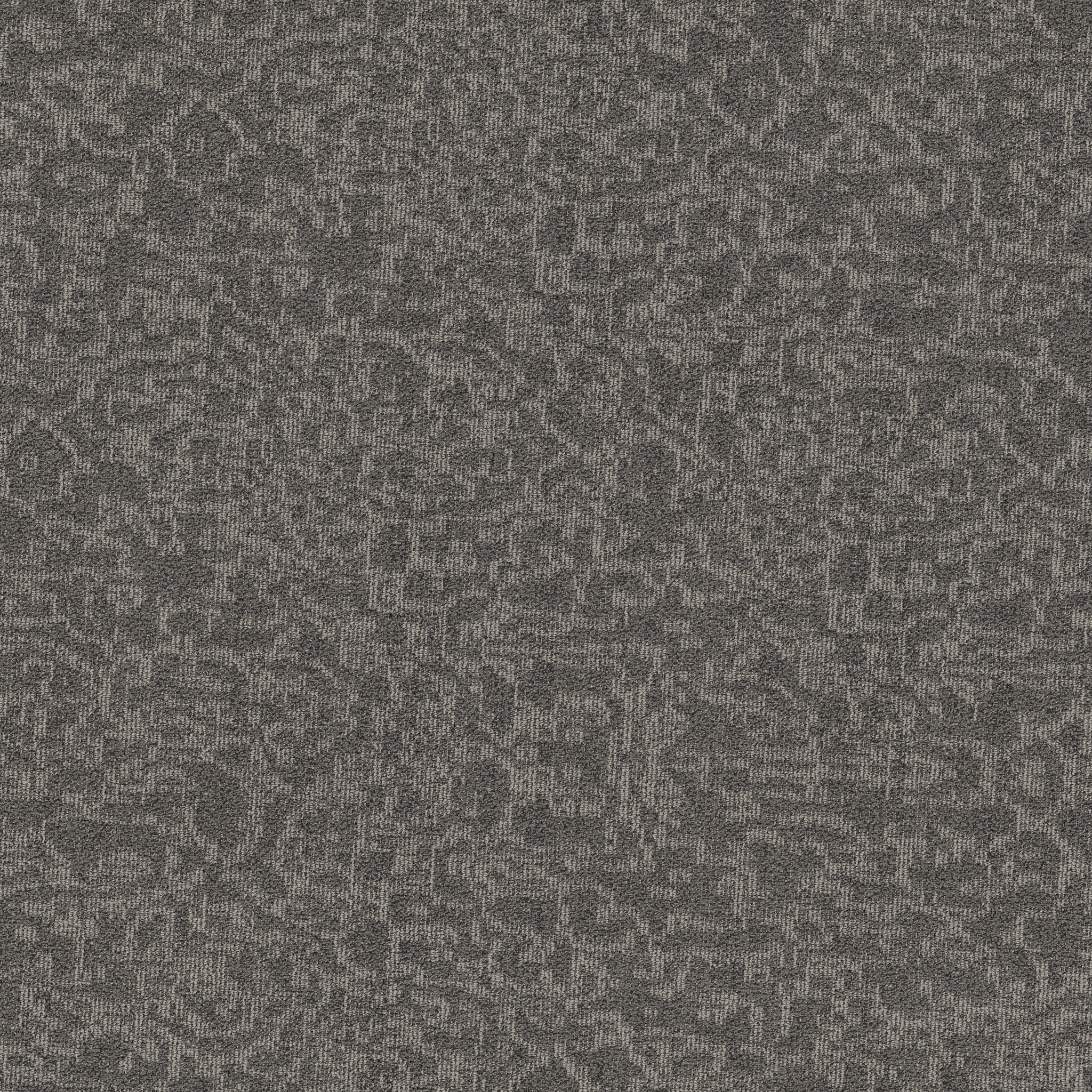 MINDFUL-MOVEMENT-BROADLOOM-55015-GAUNTLET-GREY-00504-main-image