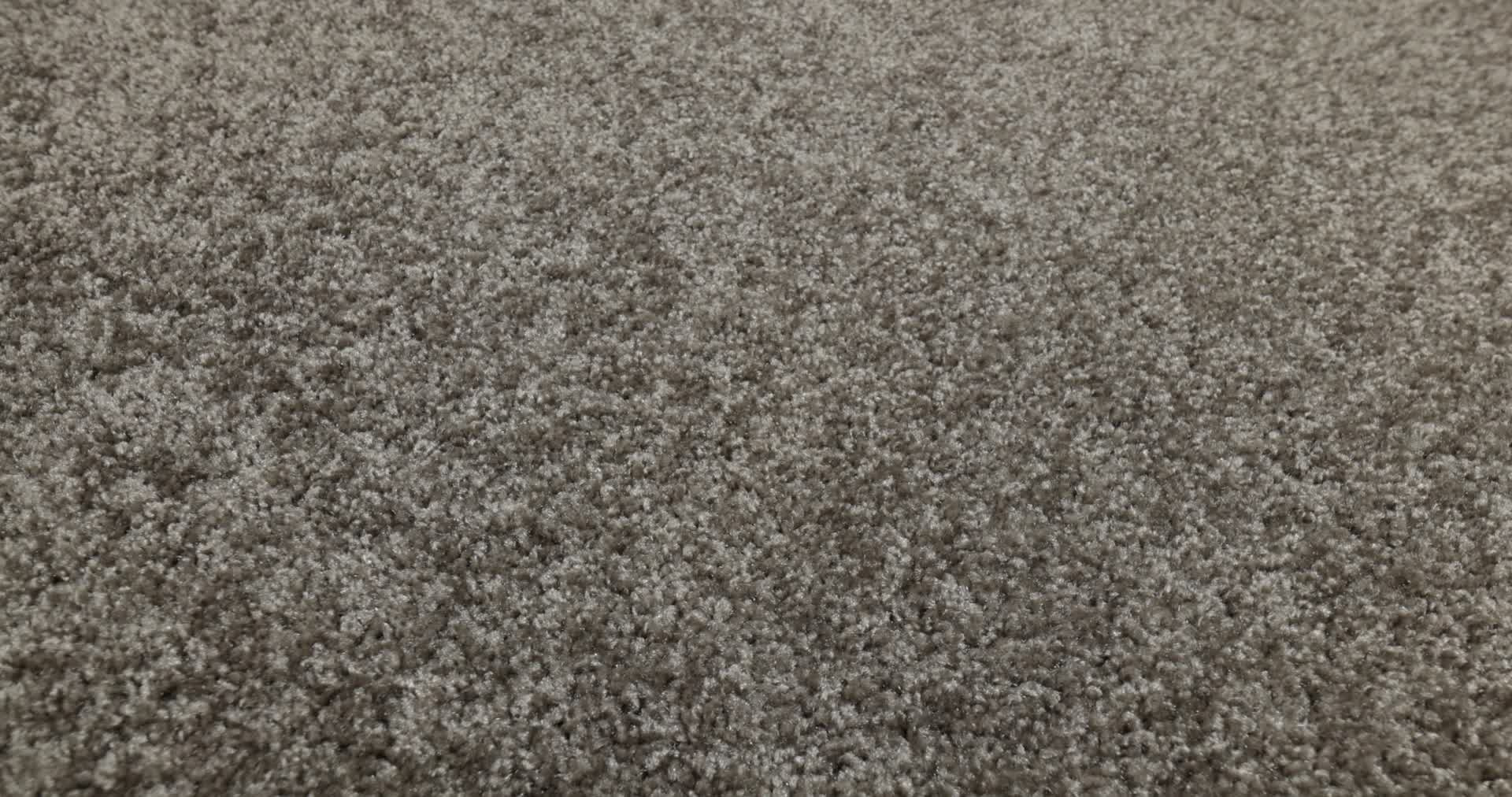 PREMIER ROLE DOCKSIDE 360PROD