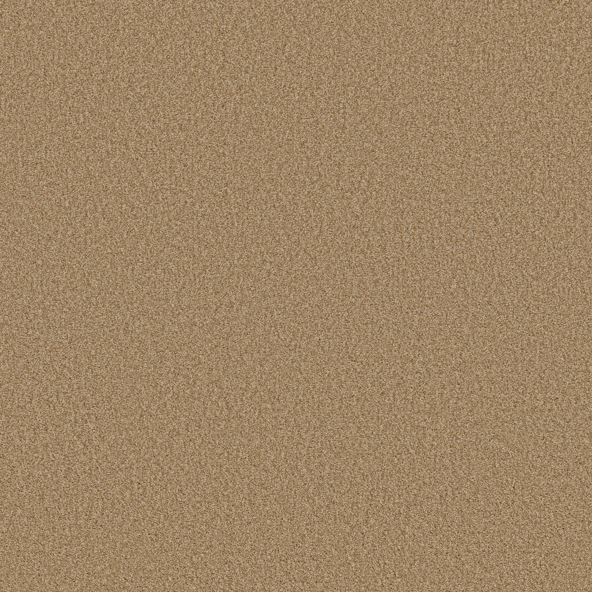 TONAL COMFORT II PASTA RECIPE MAIN