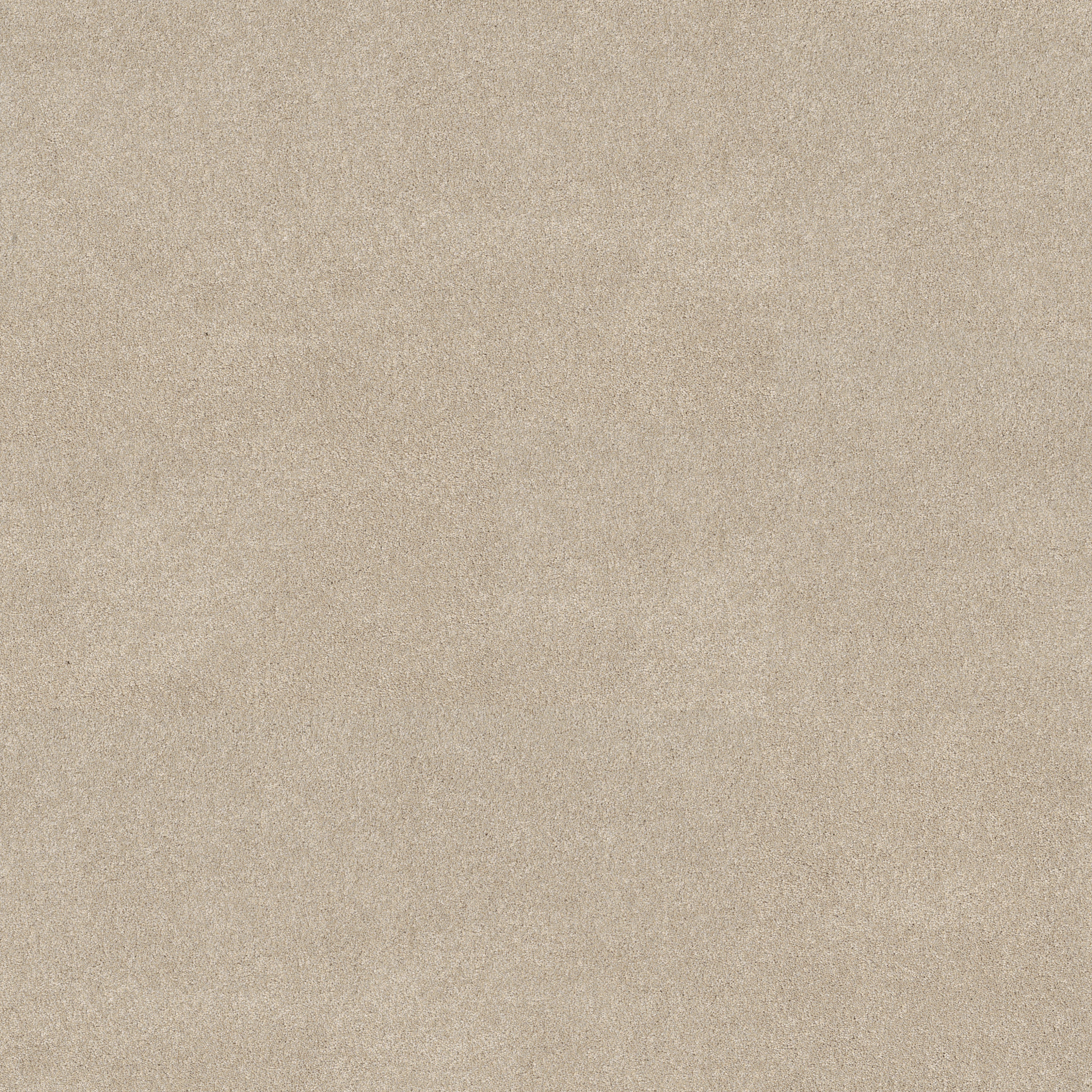 VIVID TOUCH I DUNE VIEW MAIN