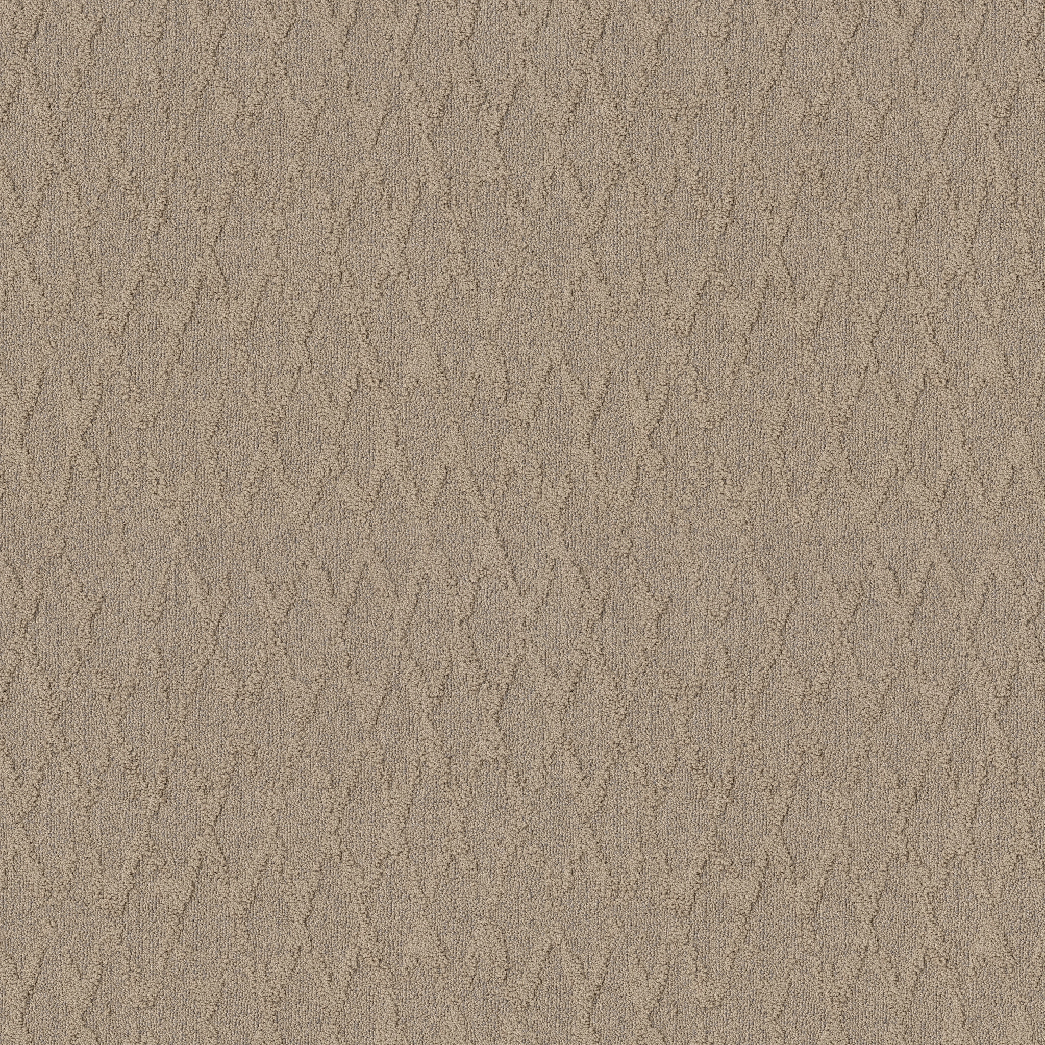 ILLUMINATION SILHOUETTE MAIN