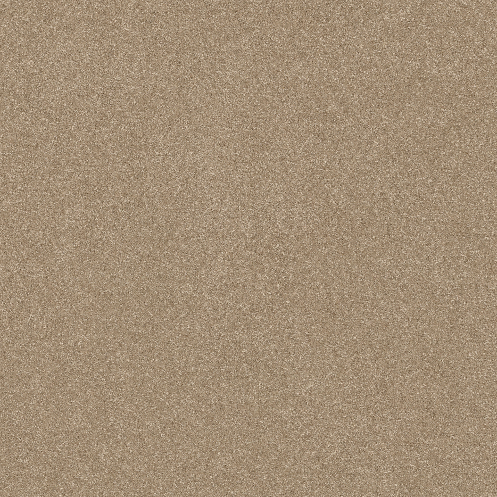 HARD AT PLAY I 15' WORN PATH MAIN