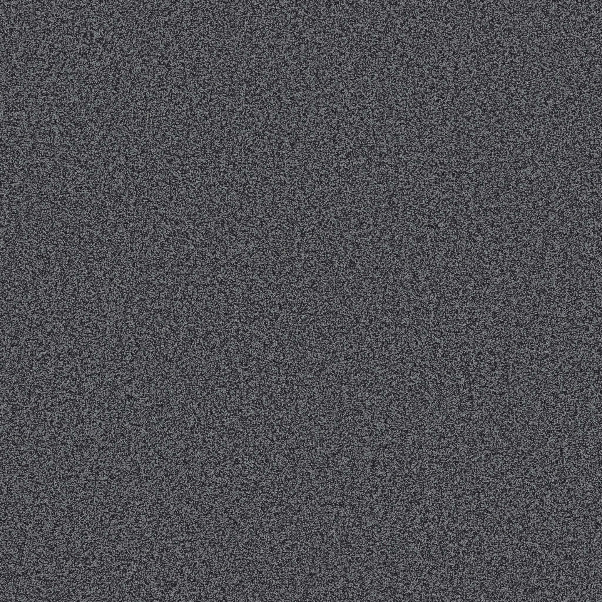 MIRA NOVA TAILORED MAIN