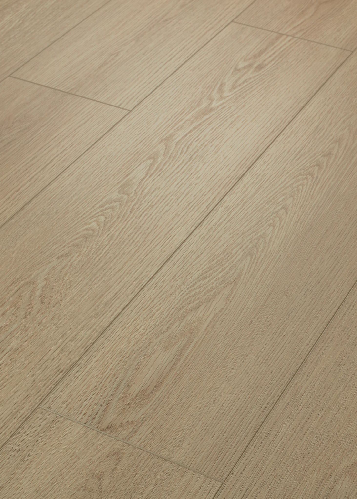 Dwell LIGHT ROAST ANGLED