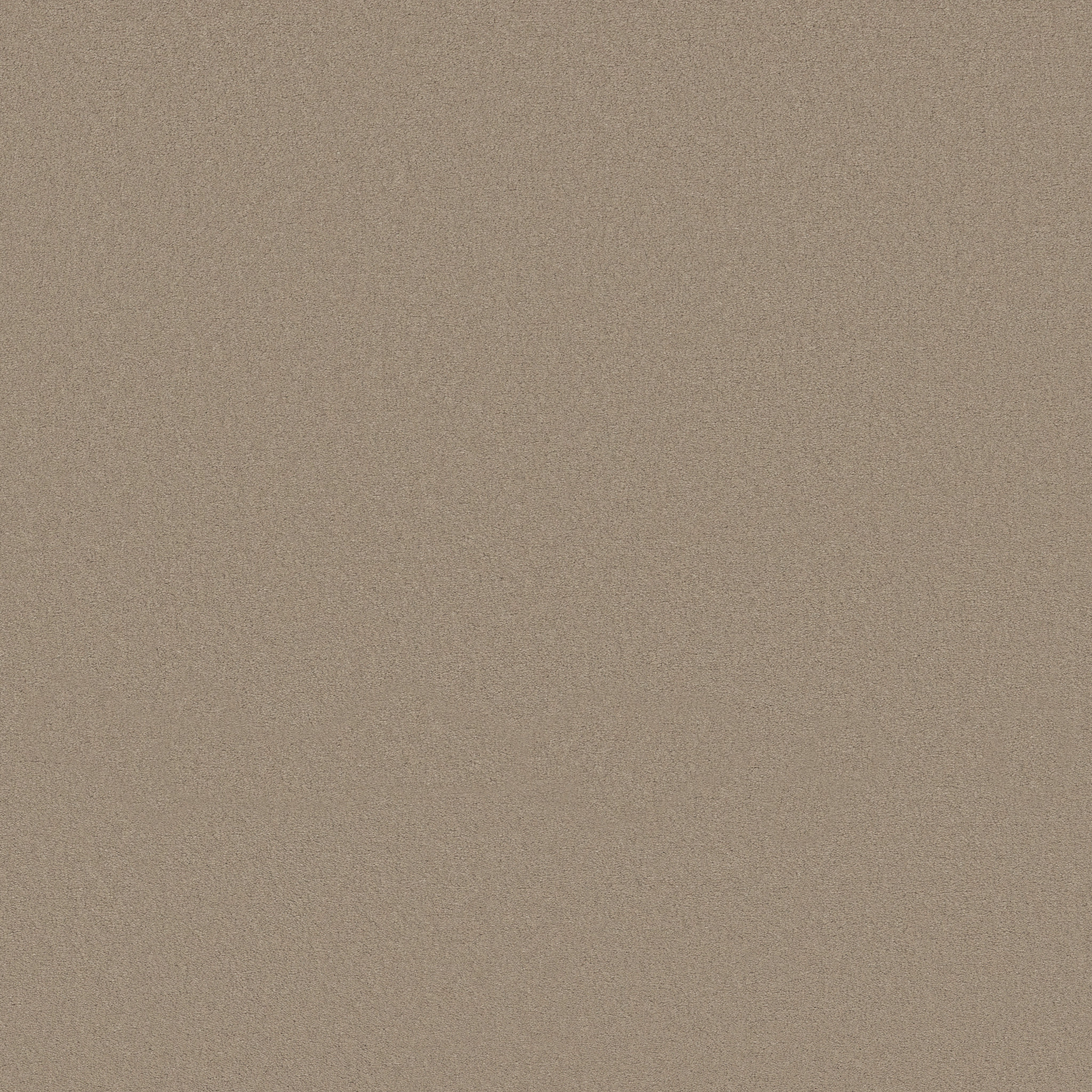 FINERY CRISP KHAKI MAIN