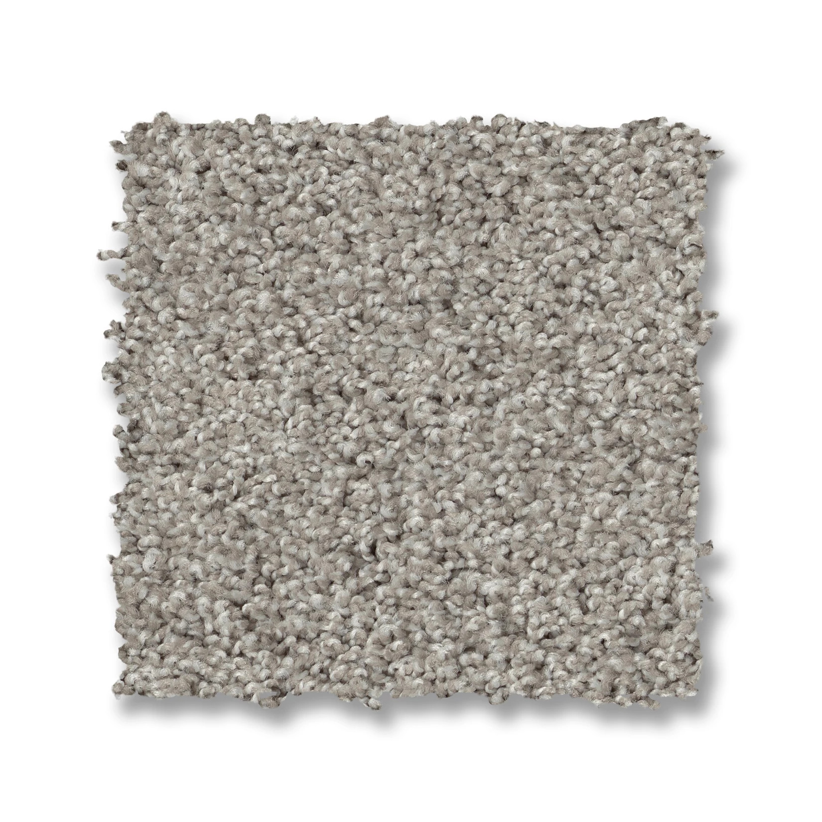 PARK HAVEN SILVER SCREEN SWATCH