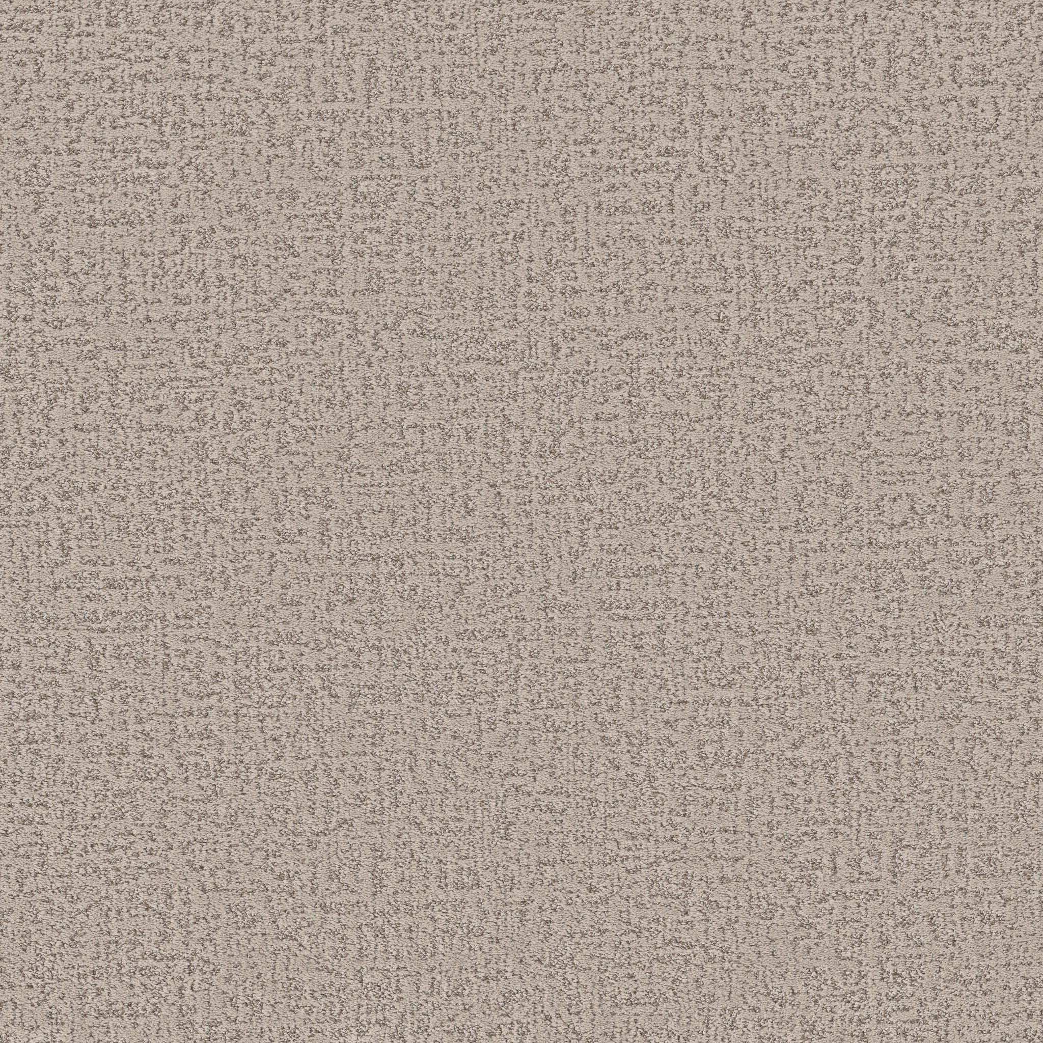 HOME WITHIN SOFT SENSE MAIN