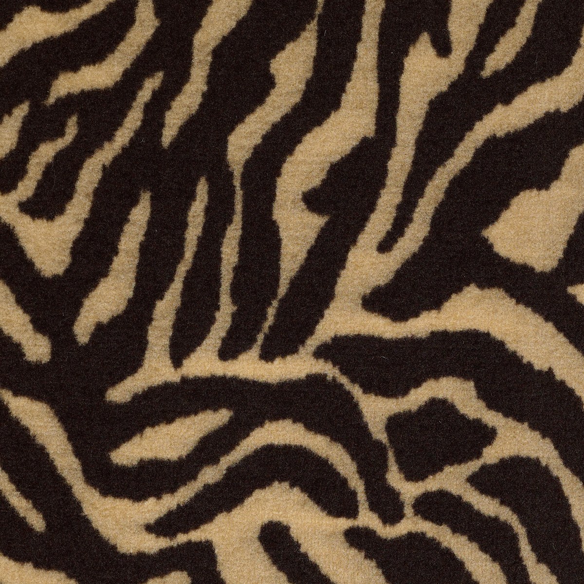 Philadelphia Commercial ZEBRA — GRAZER