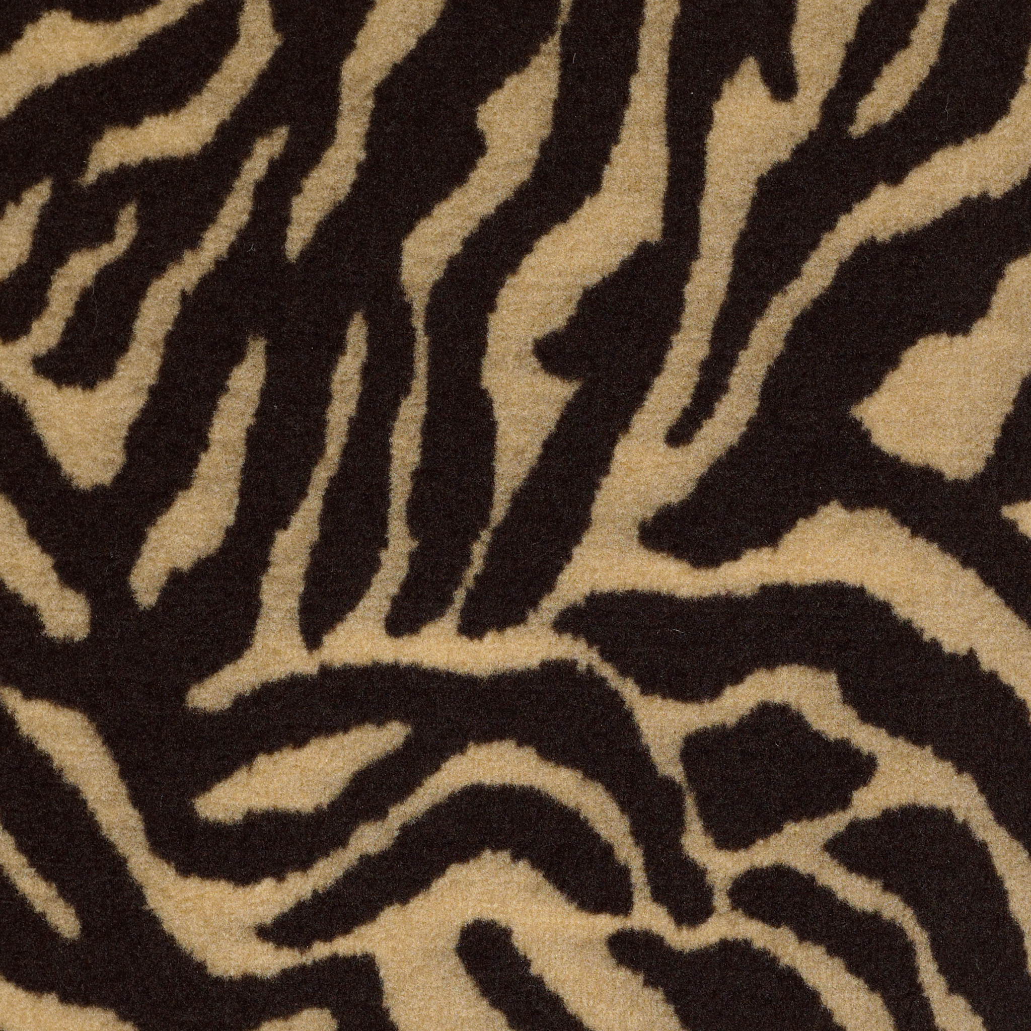 ZEBRA-54505-GRAZER-05704-main-image