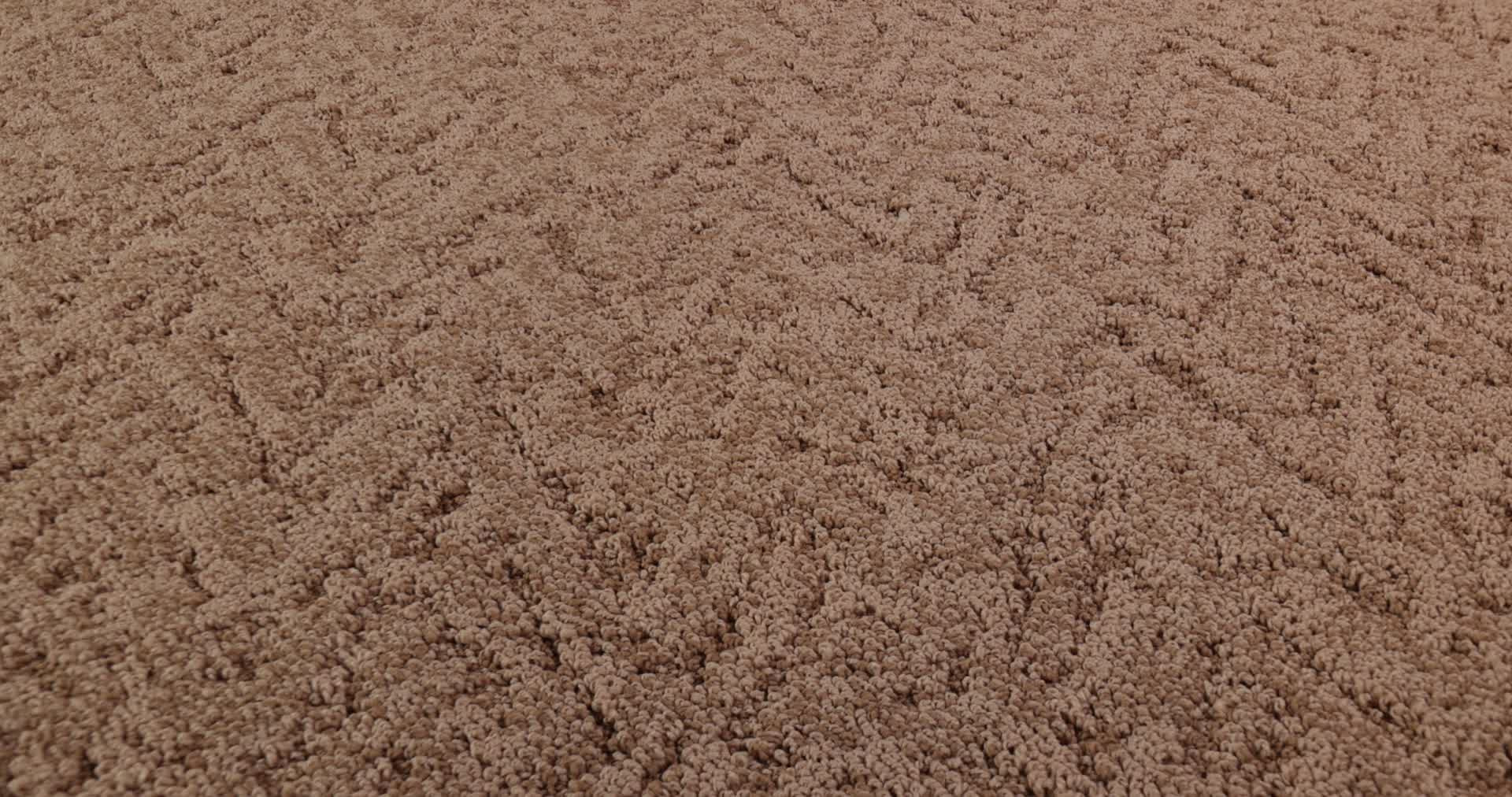 LAVISH LIVING SUNBAKED 360PROD