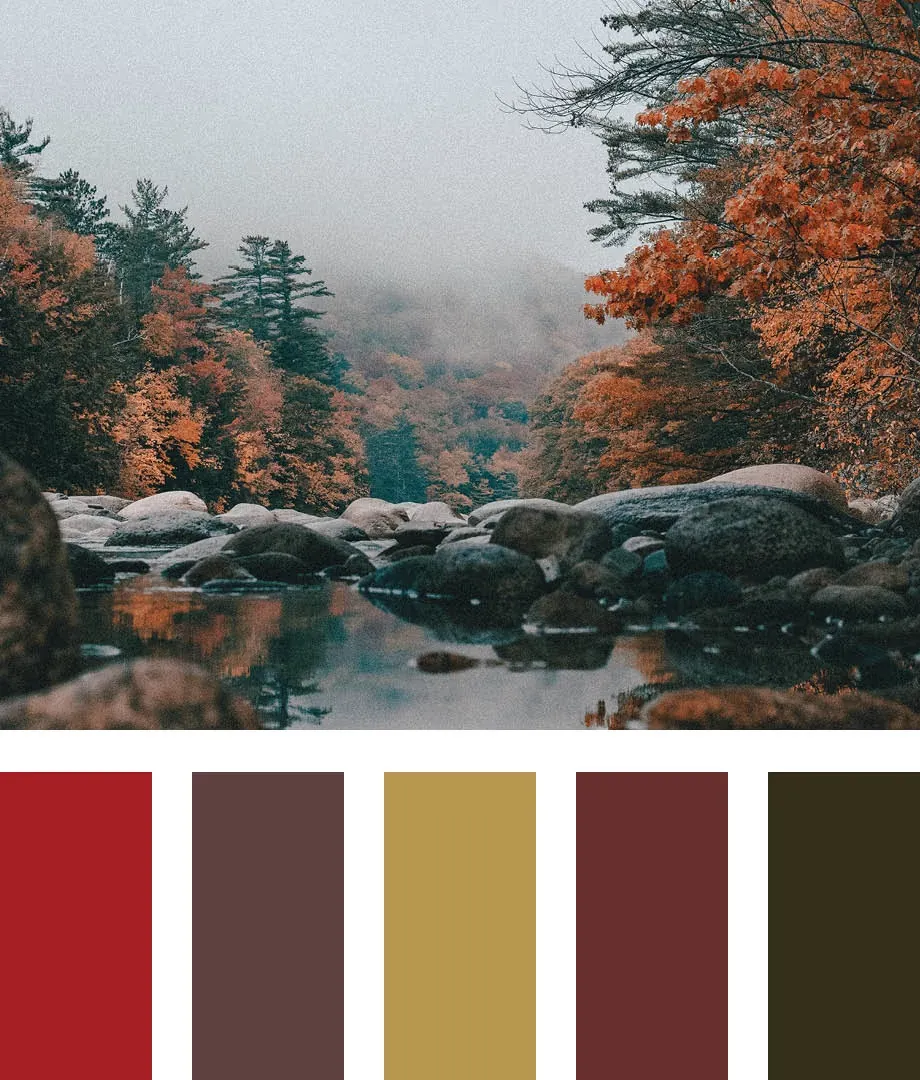 Zeftron's Cornucopia: Five Colors Inspired by Autumn - Zeftron Nylon 6