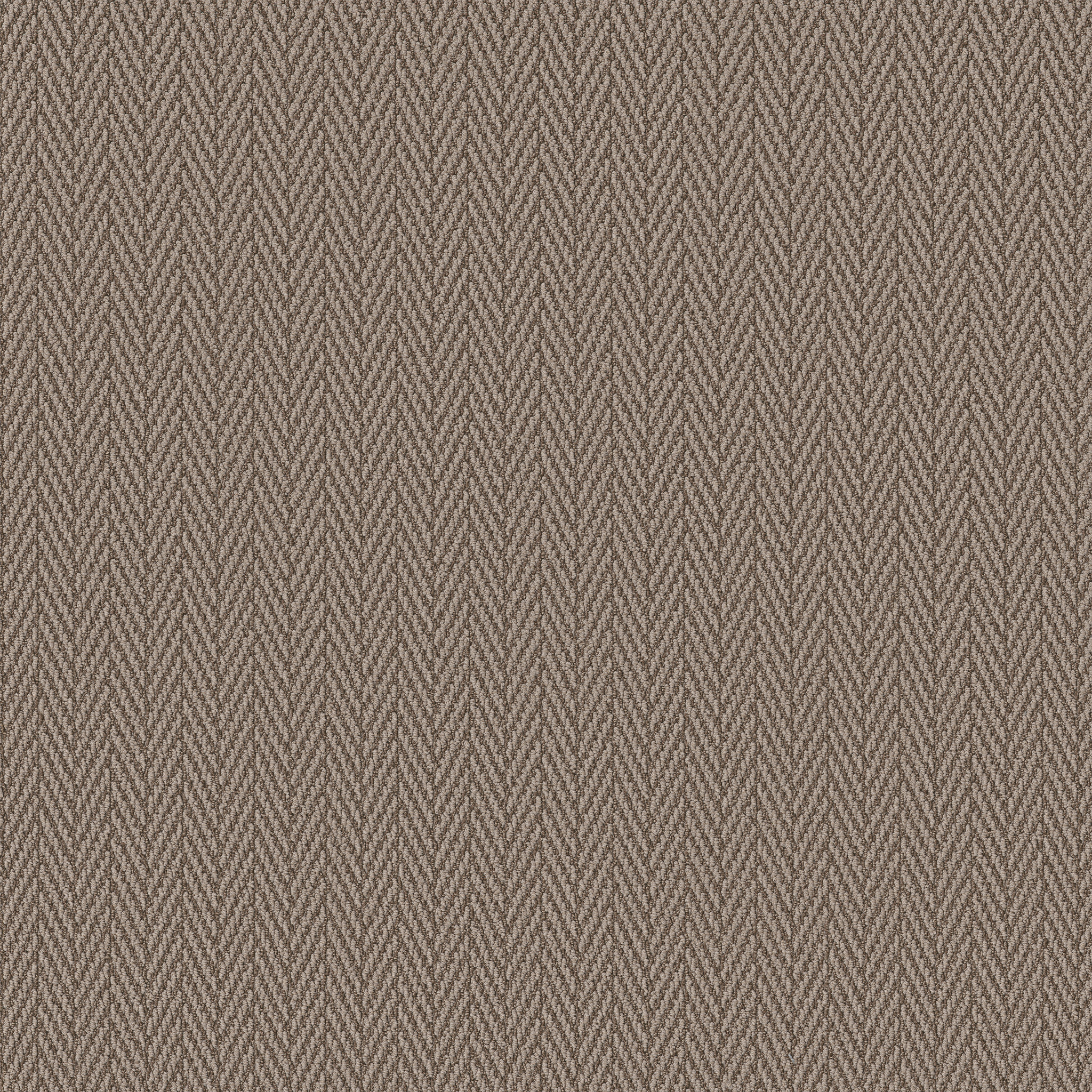 ALWAYS NATURAL TUSCAN MAIN