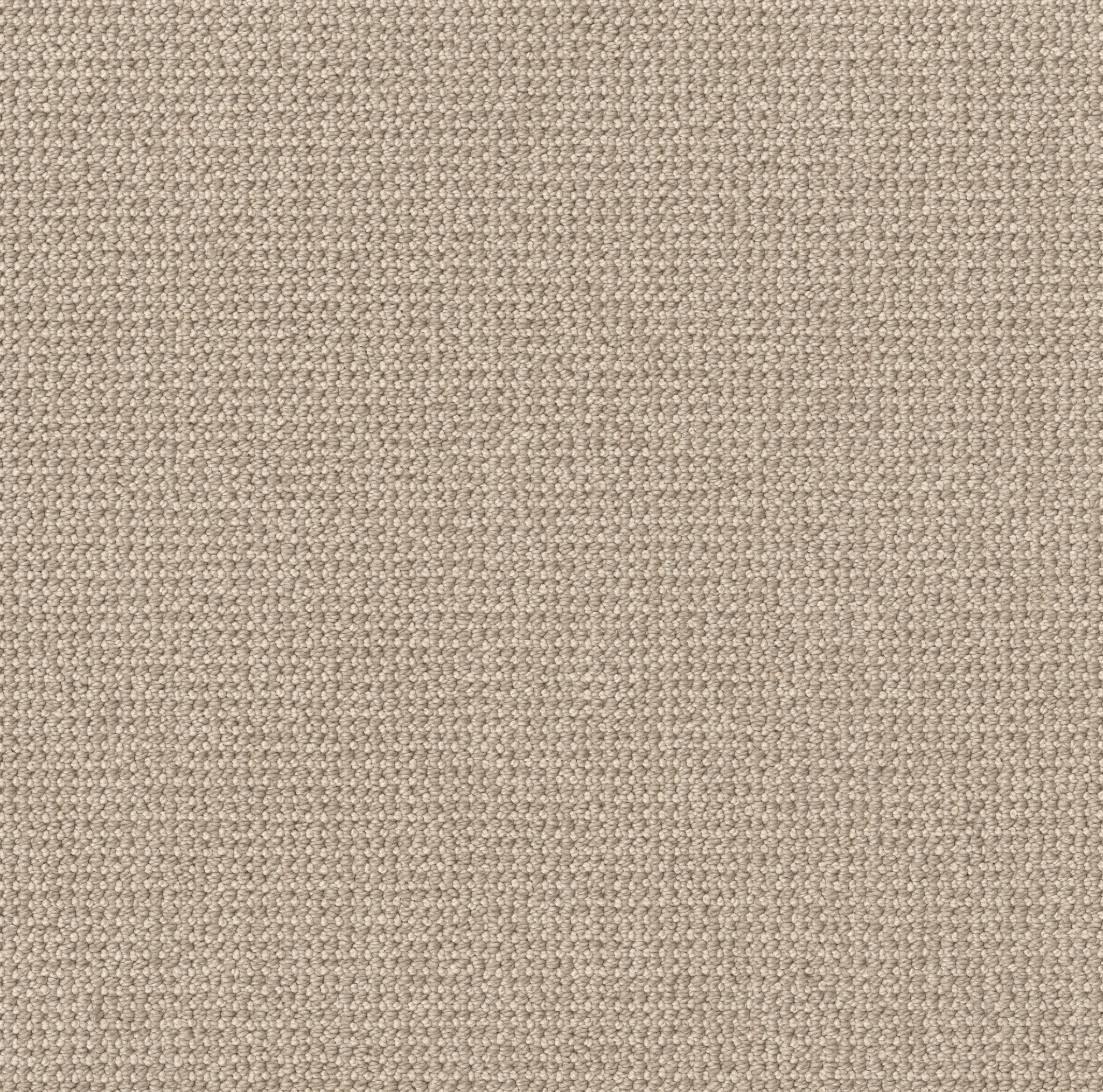 PURRFECTION CHAMPAGNE MAIN