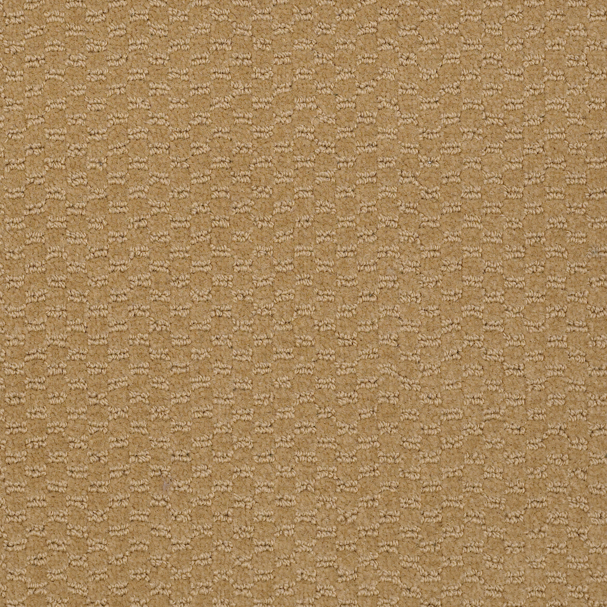 LATEST-TREND-54098-CAMELBACK-98280-main-image