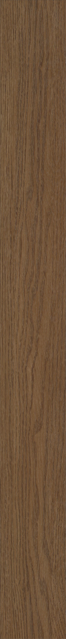 TRADITIONS SADDLE OAK 1TO1