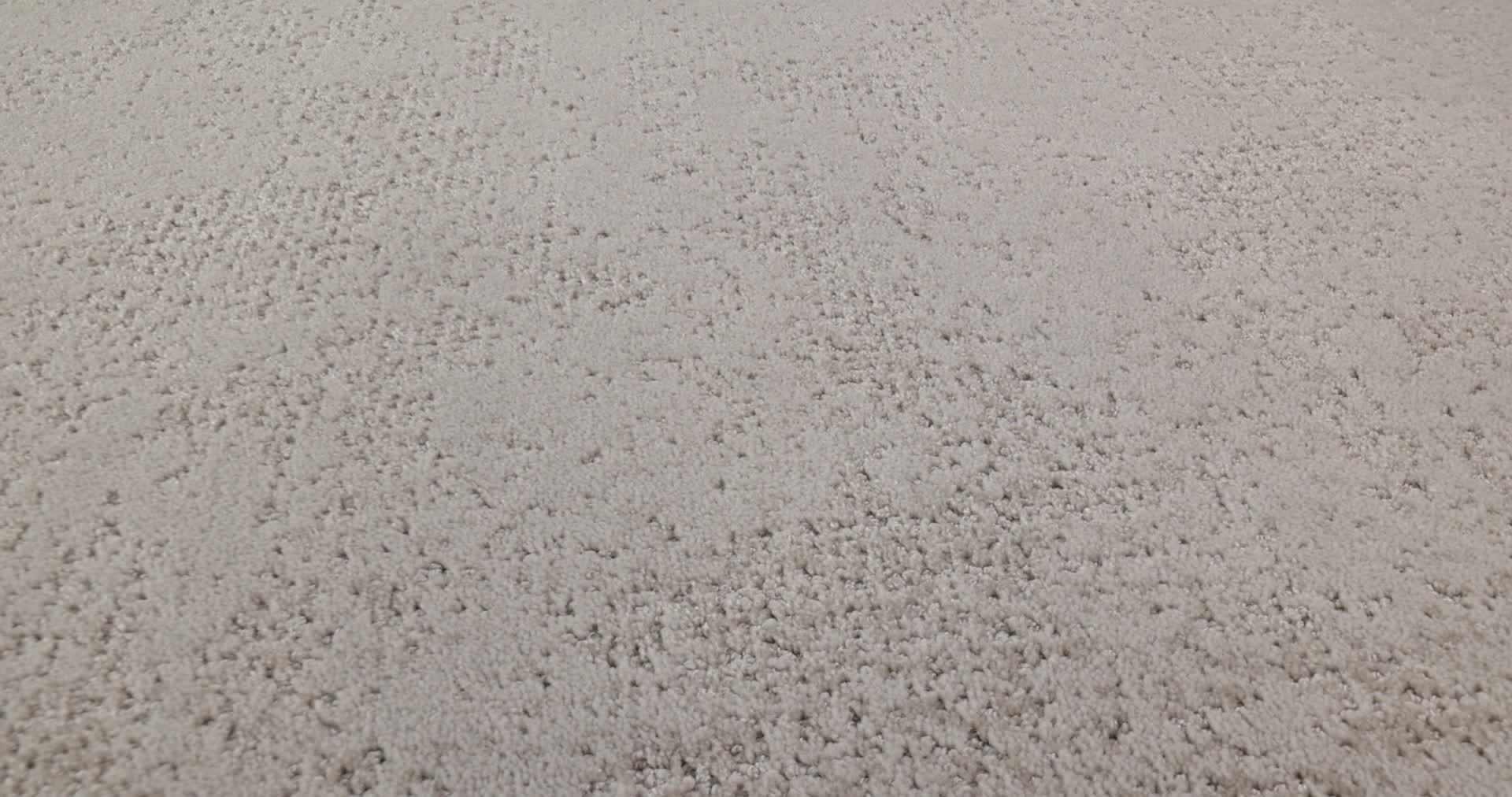 ARTISTIC PRESENCE COLD WINTER 360PROD