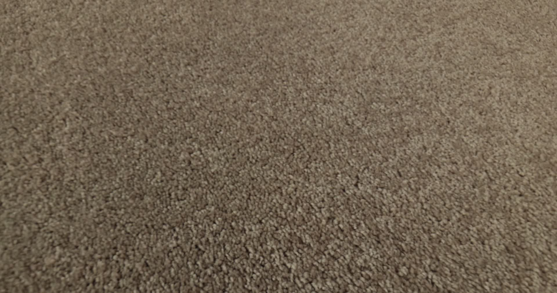 TURN THE PAGE II 15' WILD RICE 360PROD