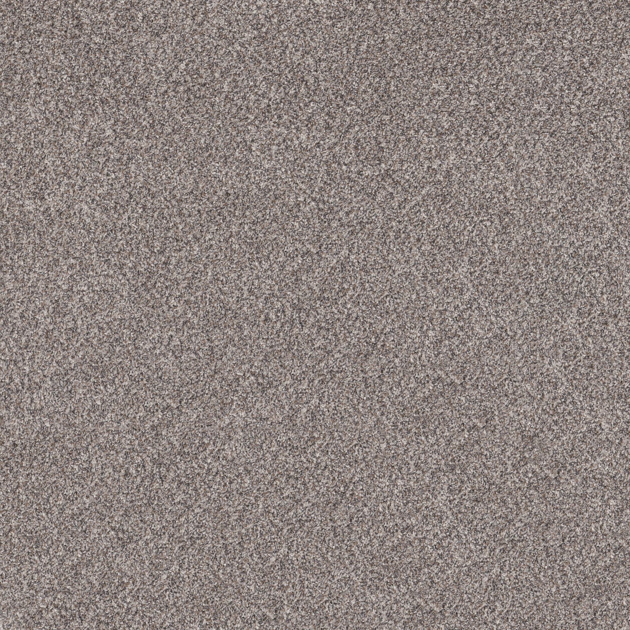 SOFT EFFERVESCENCE OXFORD MAIN