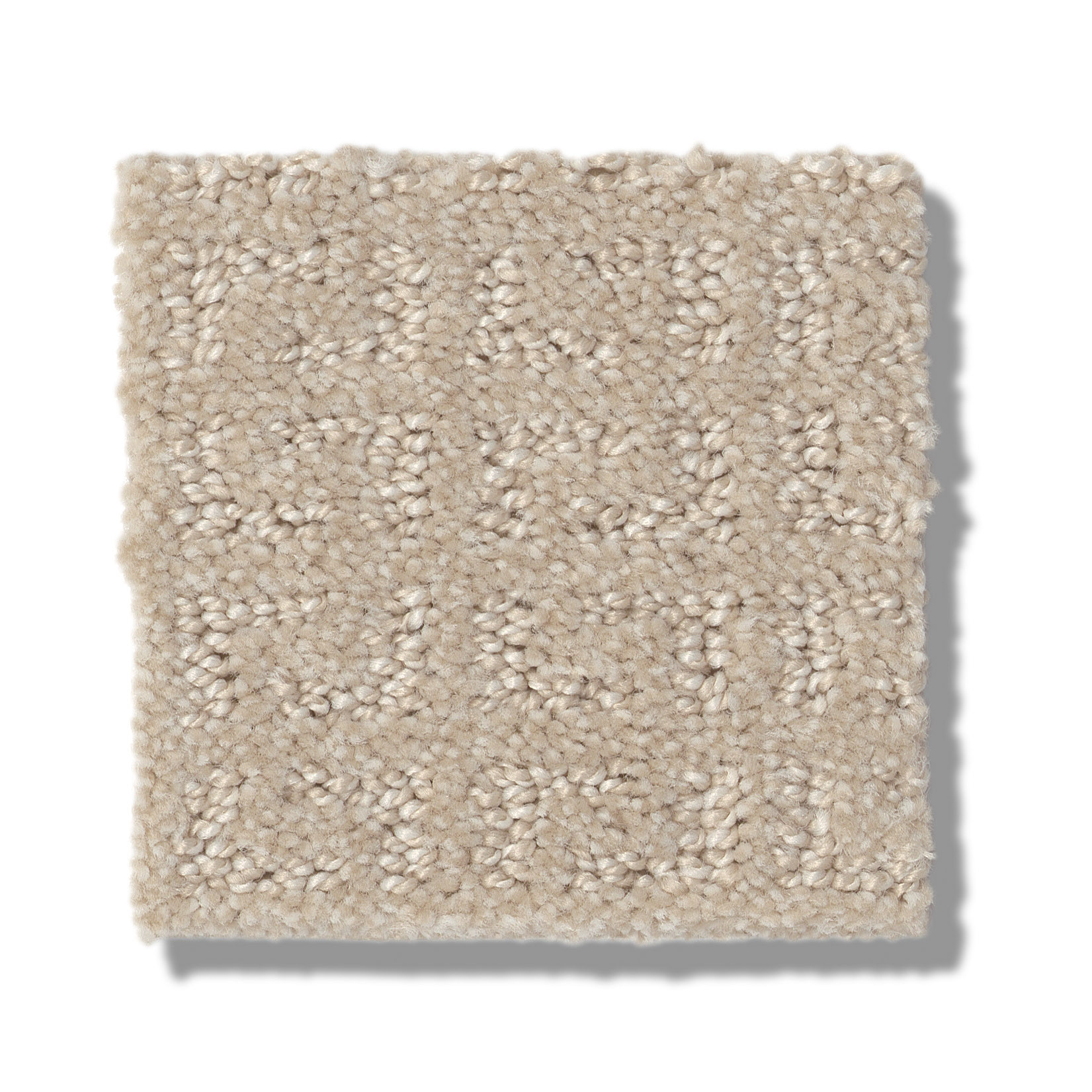 TRANSFORM BISCUIT SWATCH