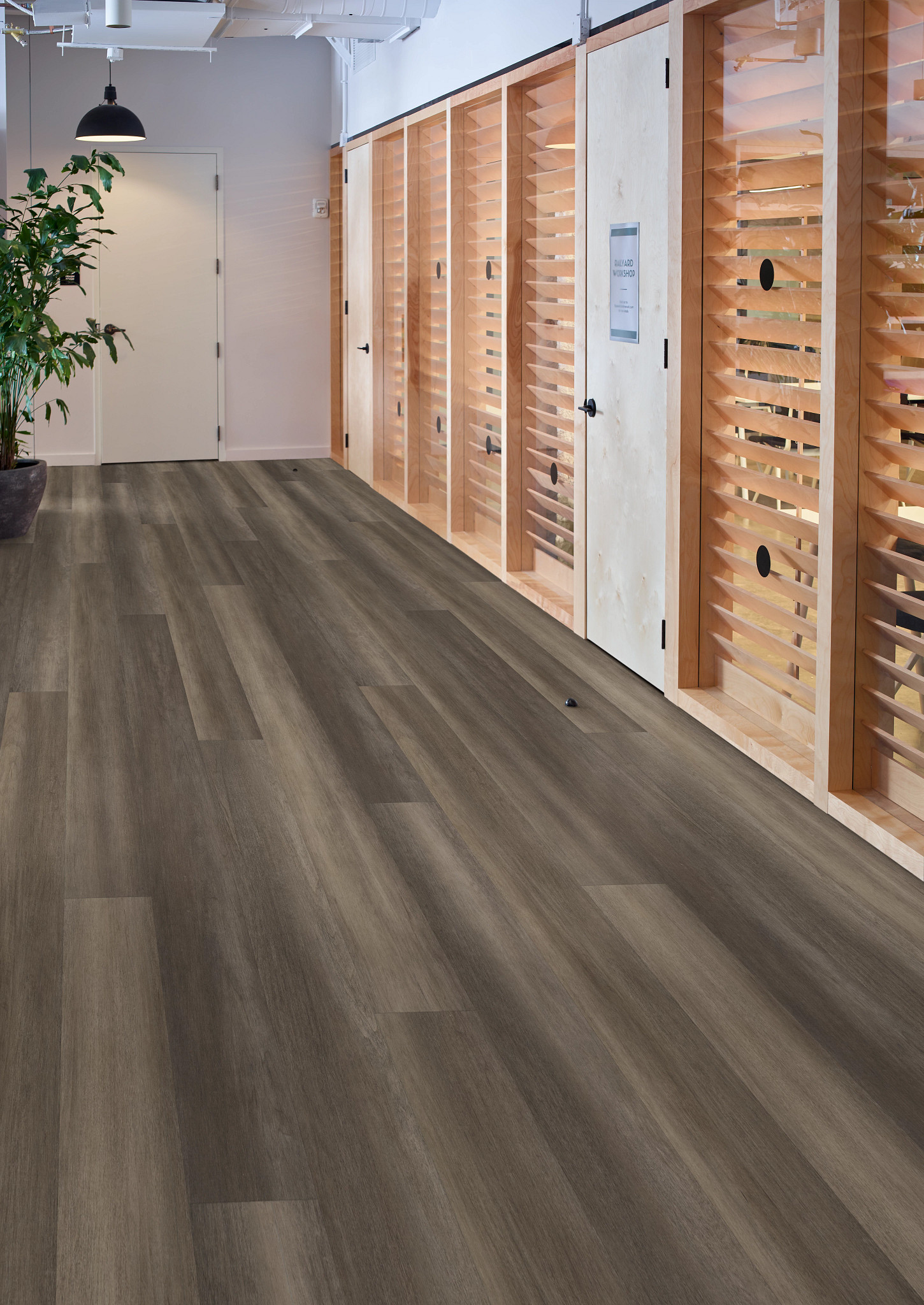 PHILOSOPHER'S-TREE-5599V-BRONZE-00704-room-image